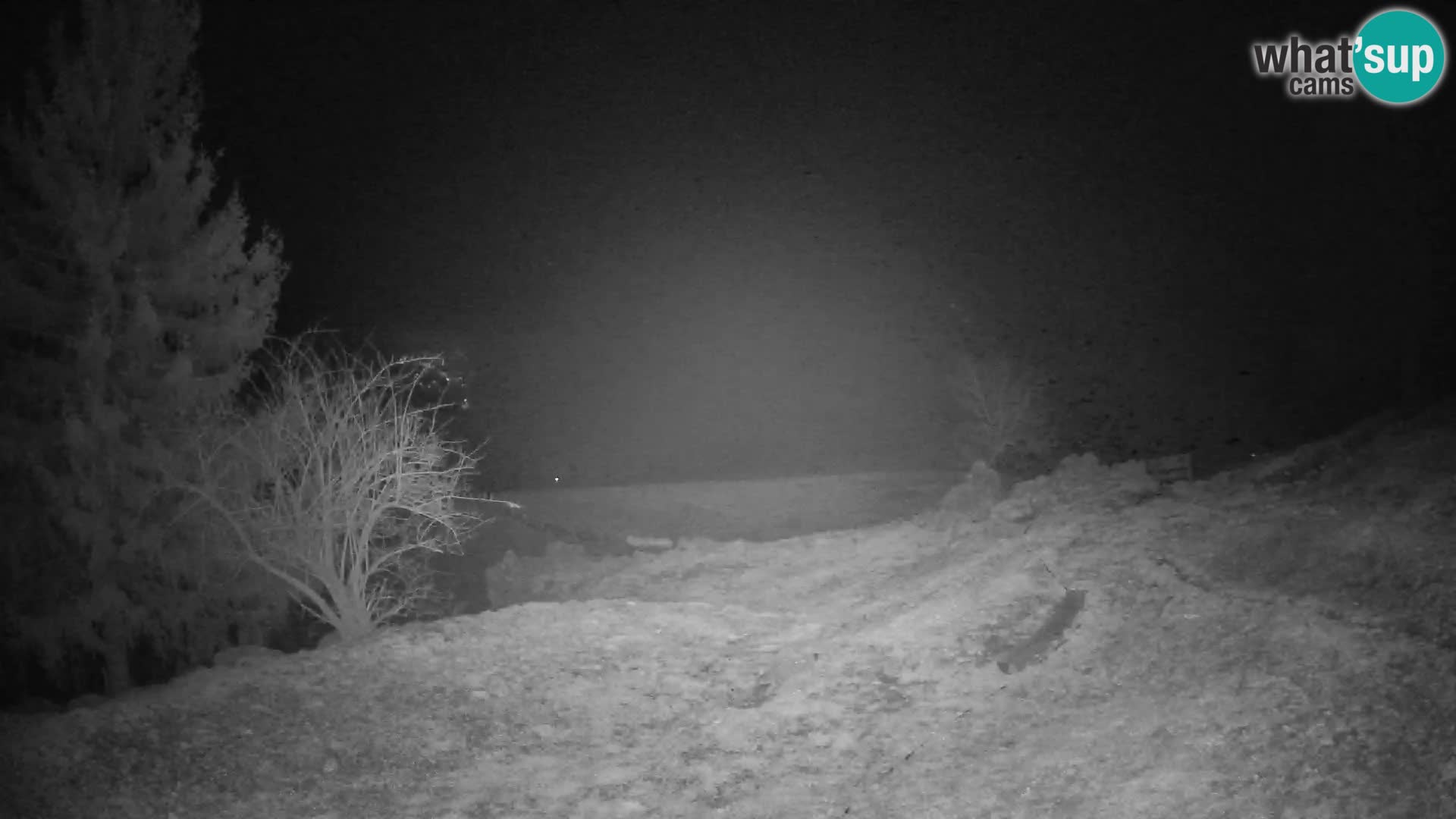 Slajka camera en vivo | Gorenja Vas | Eslovenia