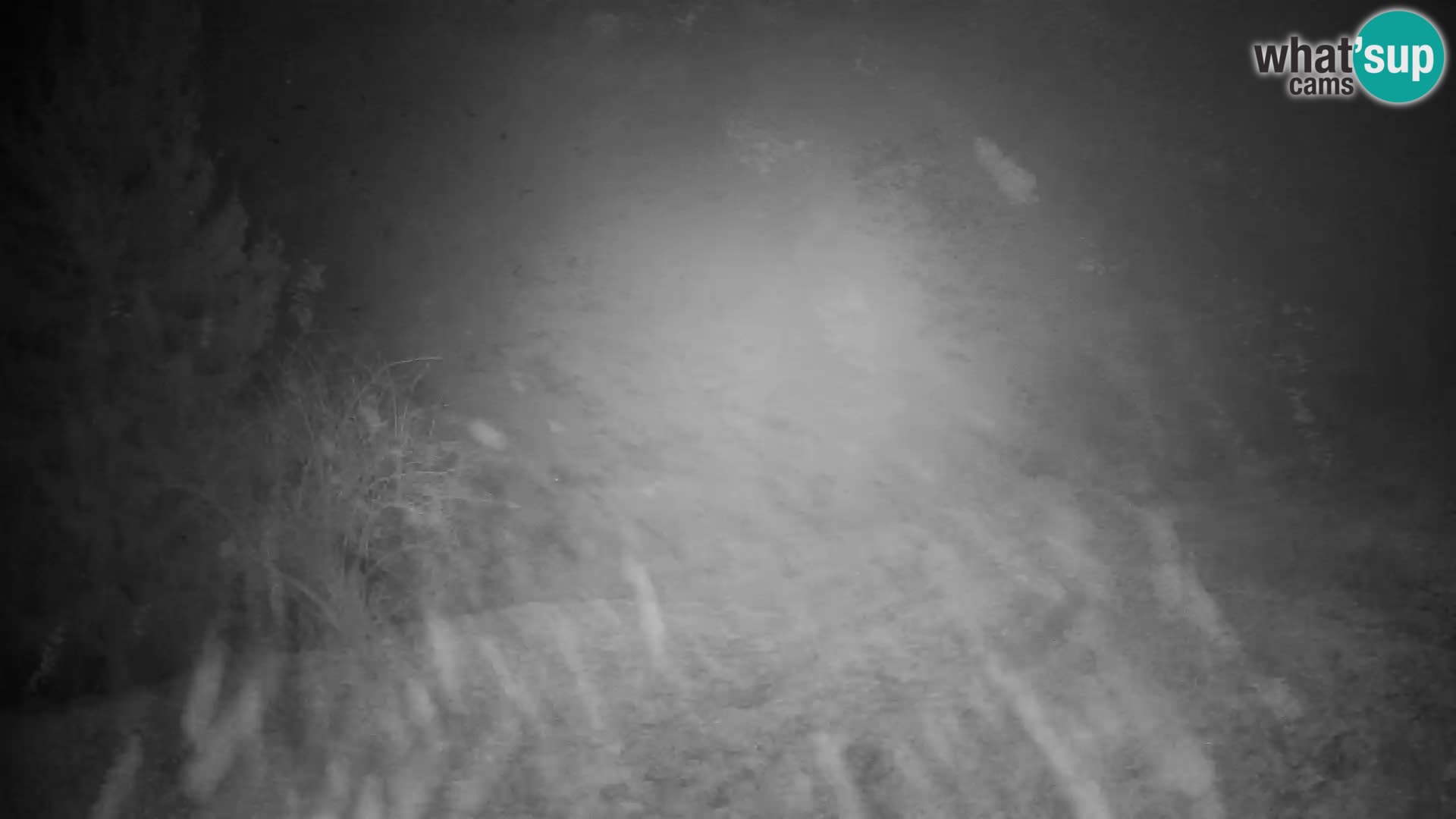 Slajka camera en vivo | Gorenja Vas | Eslovenia