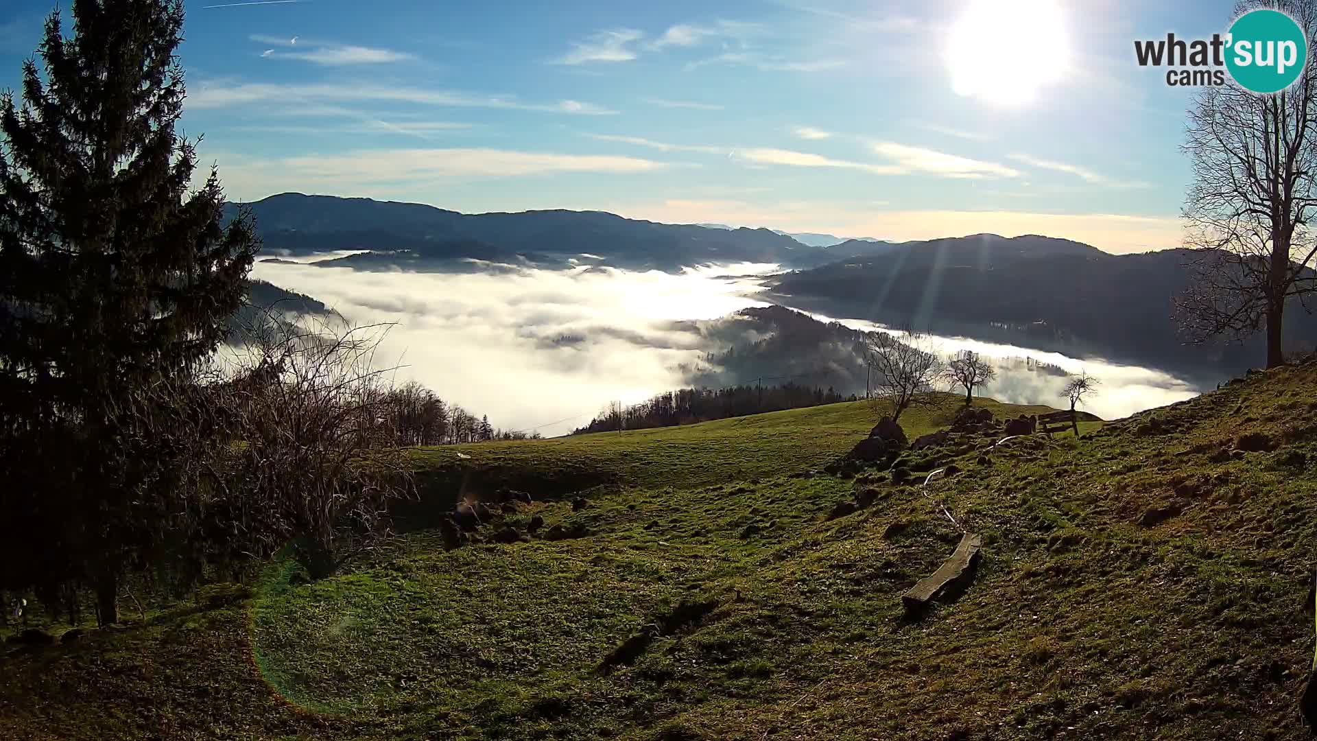 Slajka webcam | Gorenja Vas | Slowenien