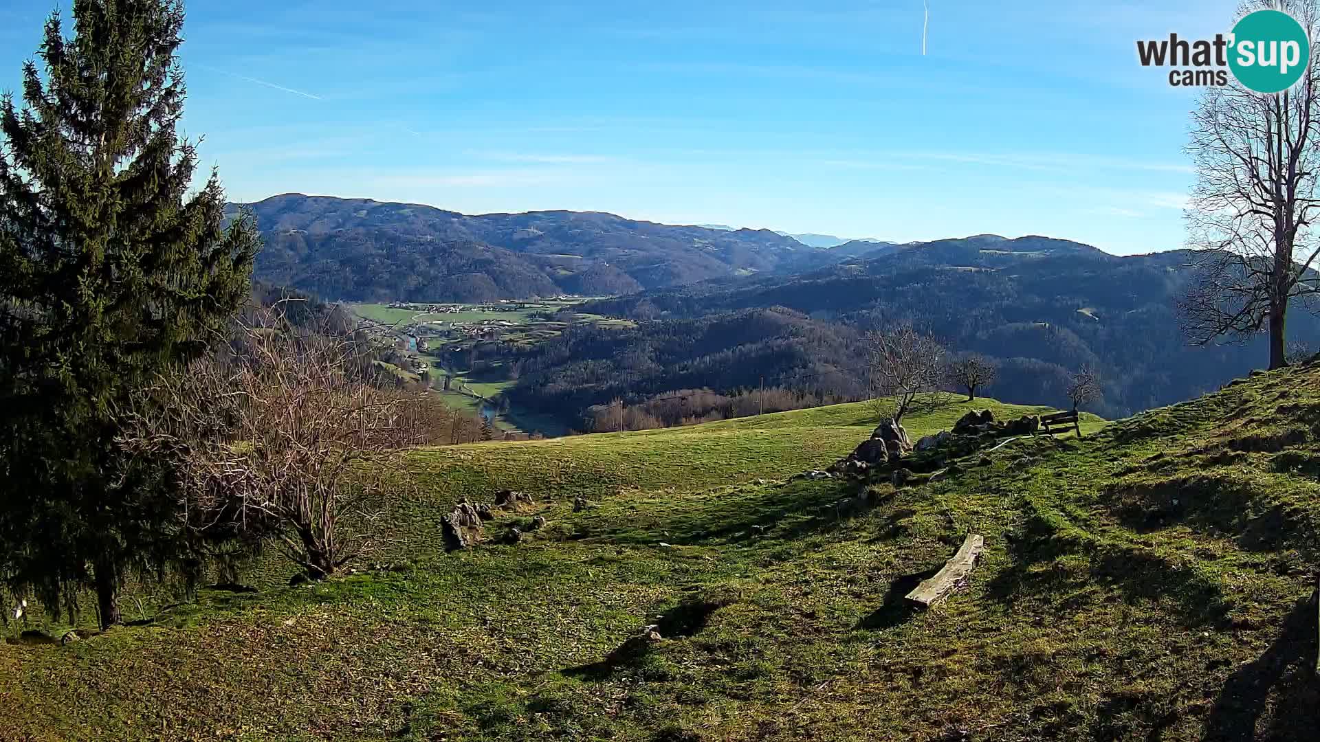 Slajka camera en vivo | Gorenja Vas | Eslovenia