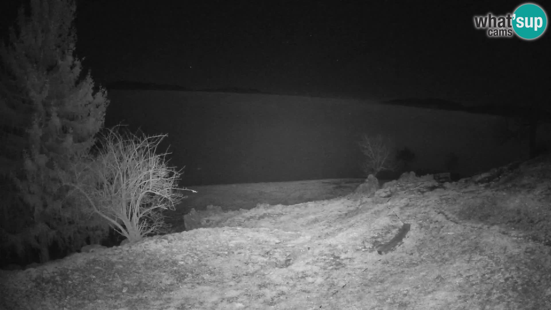 Slajka camera en vivo | Gorenja Vas | Eslovenia