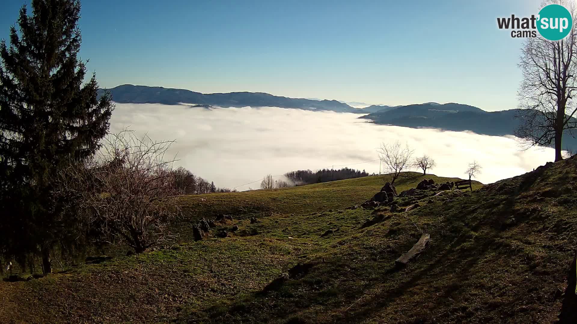 Slajka camera en vivo | Gorenja Vas | Eslovenia