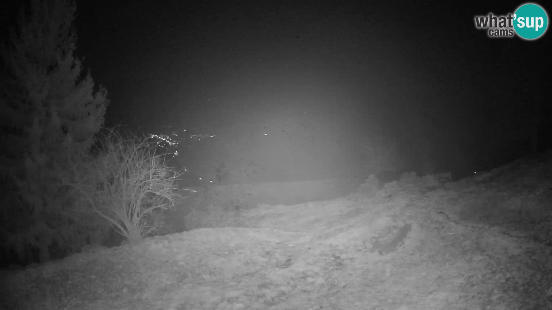 Slajka livecam | Gorenja Vas | Slovénie