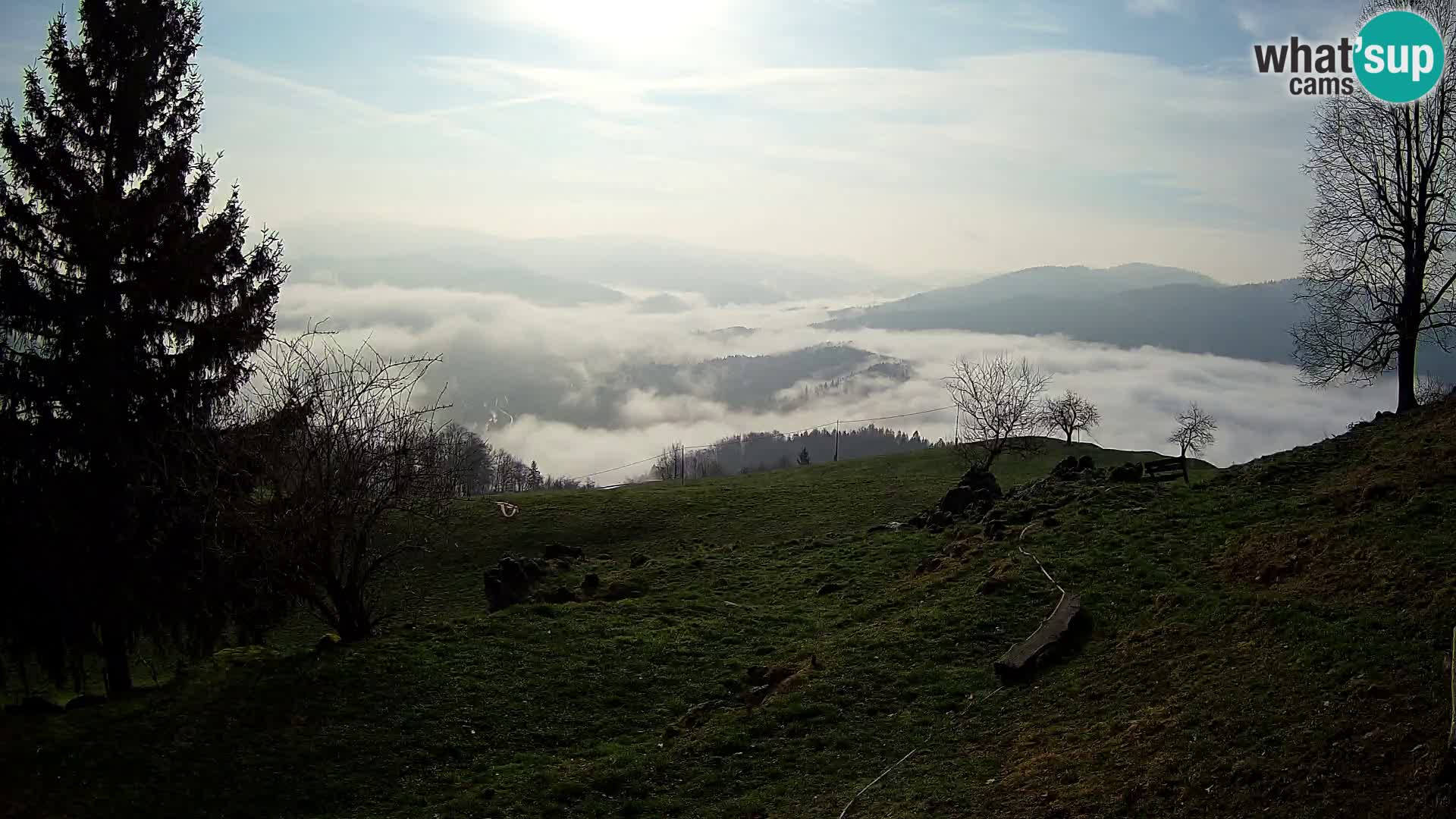 Slajka webam | Gorenja vas | Slovenia