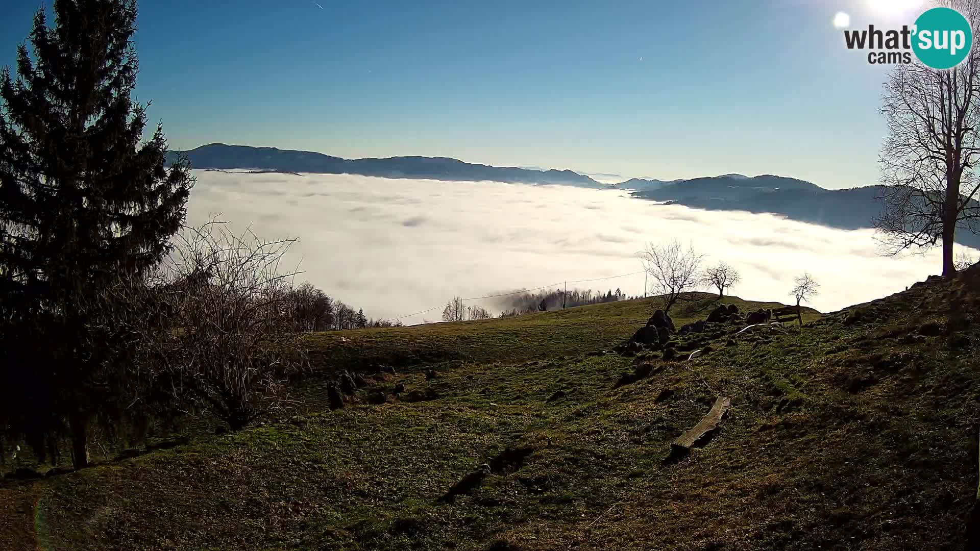 Slajka webam | Gorenja vas | Slovenia