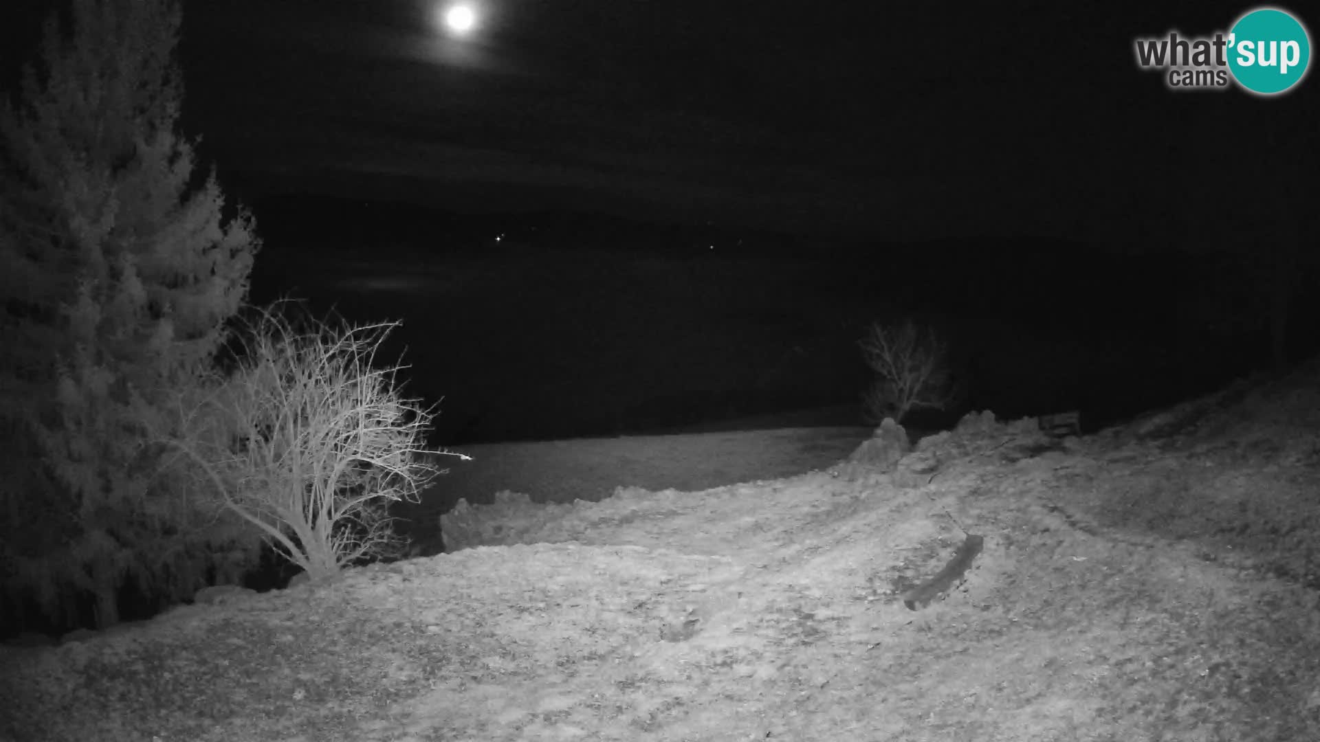 Slajka camera en vivo | Gorenja Vas | Eslovenia