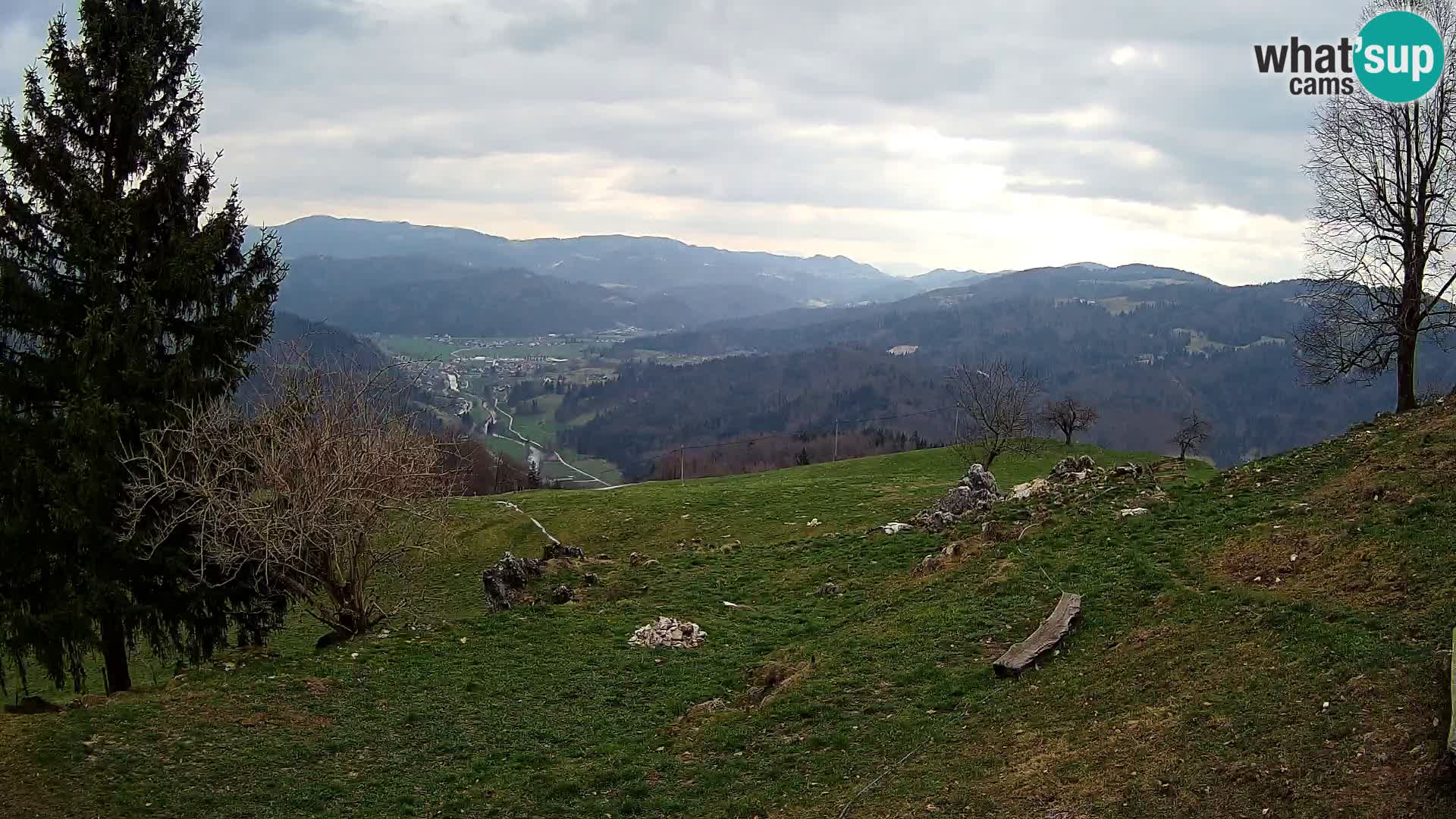 Slajka camera en vivo | Gorenja Vas | Eslovenia