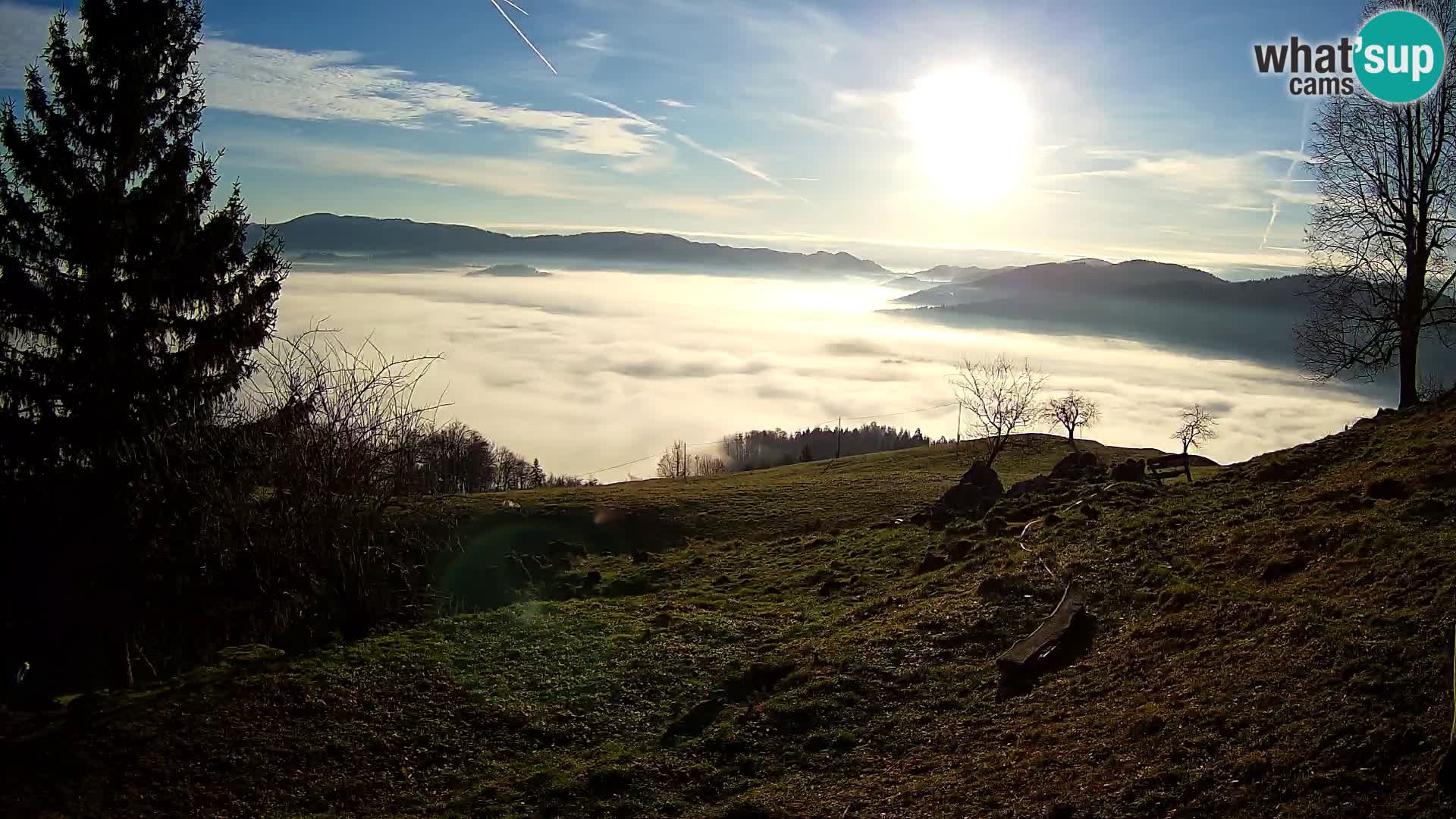 Slajka webam | Gorenja vas | Slovenia