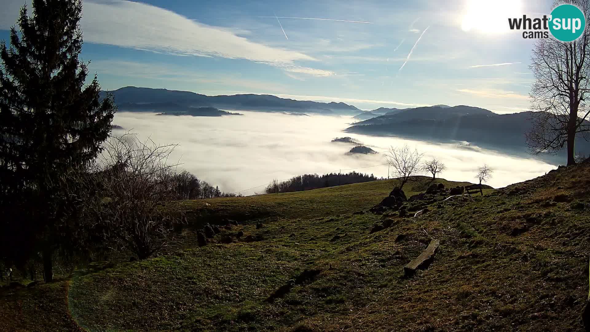Slajka livecam | Gorenja Vas | Slovénie