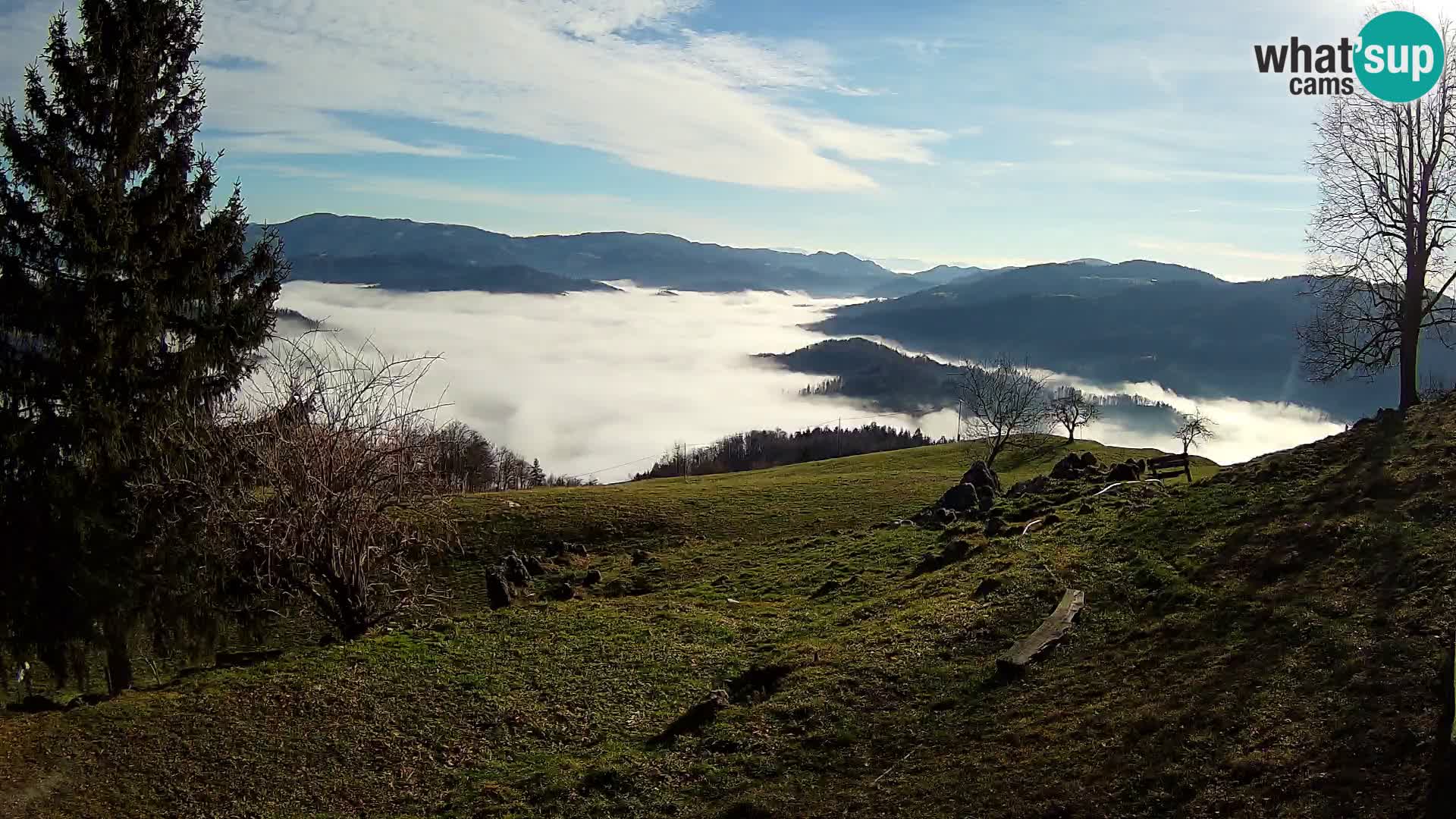 Slajka webcam | Gorenja Vas | Slowenien