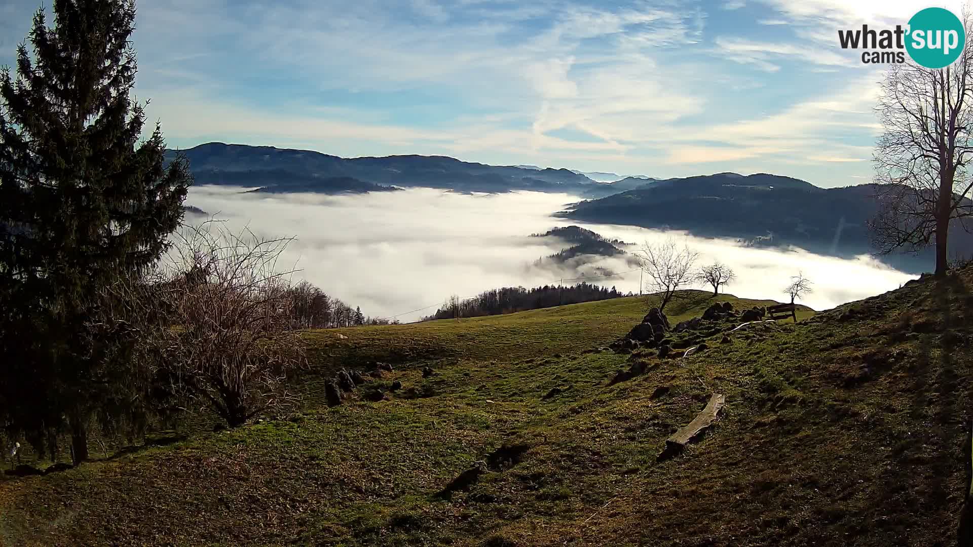 Slajka webam | Gorenja vas | Slovenia