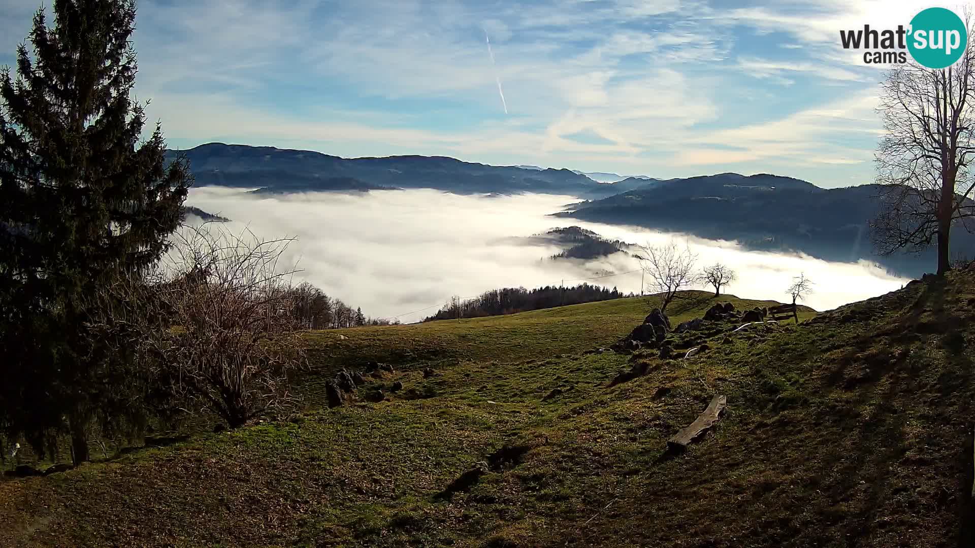 Slajka webam | Gorenja vas | Slovenia