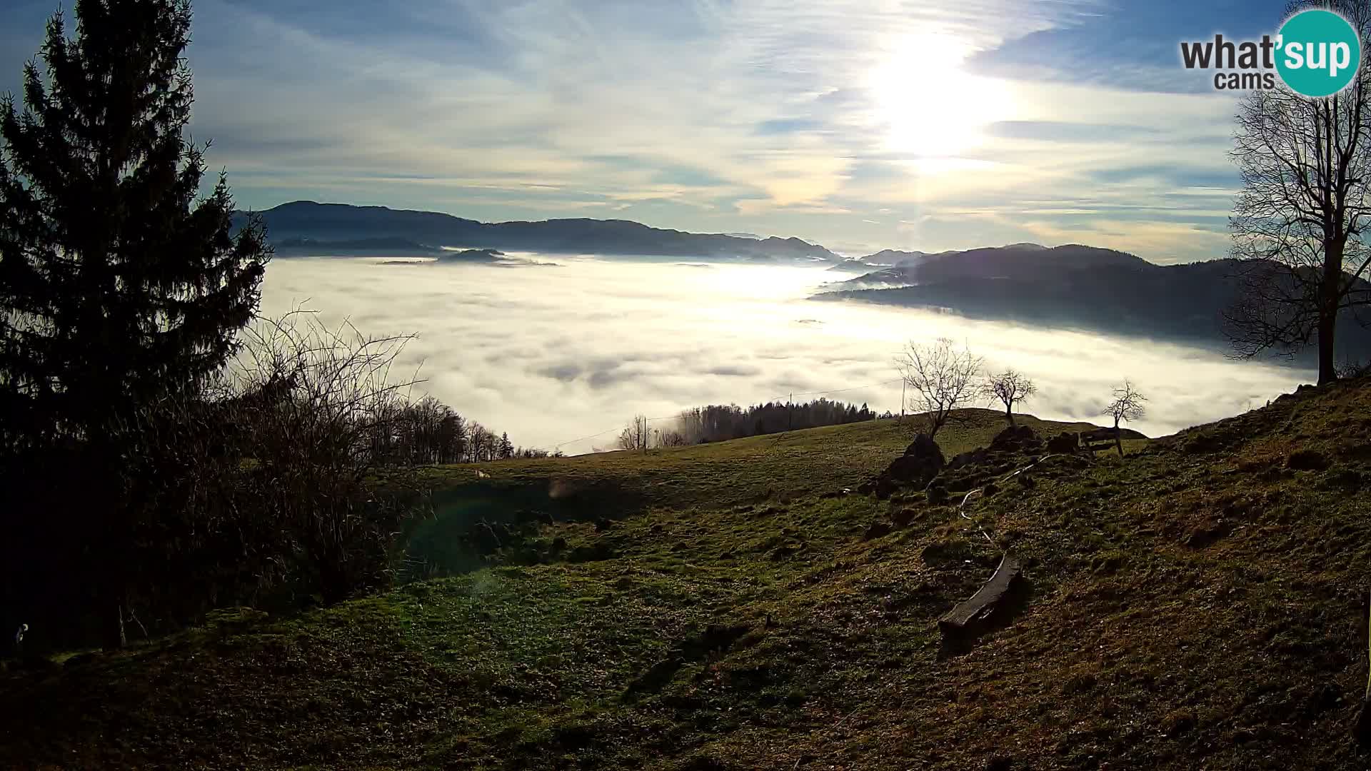Slajka webam | Gorenja vas | Slovenia