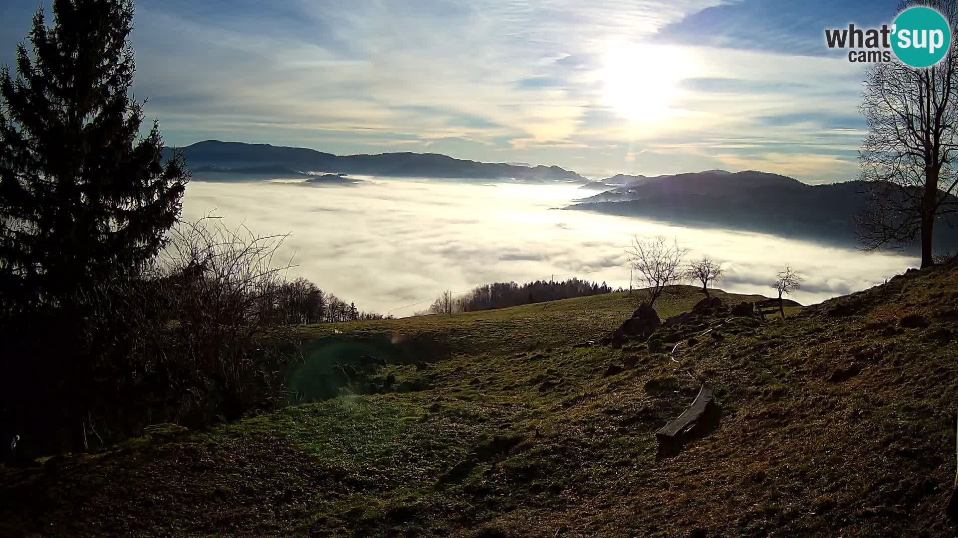 Slajka webam | Gorenja vas | Slovenia