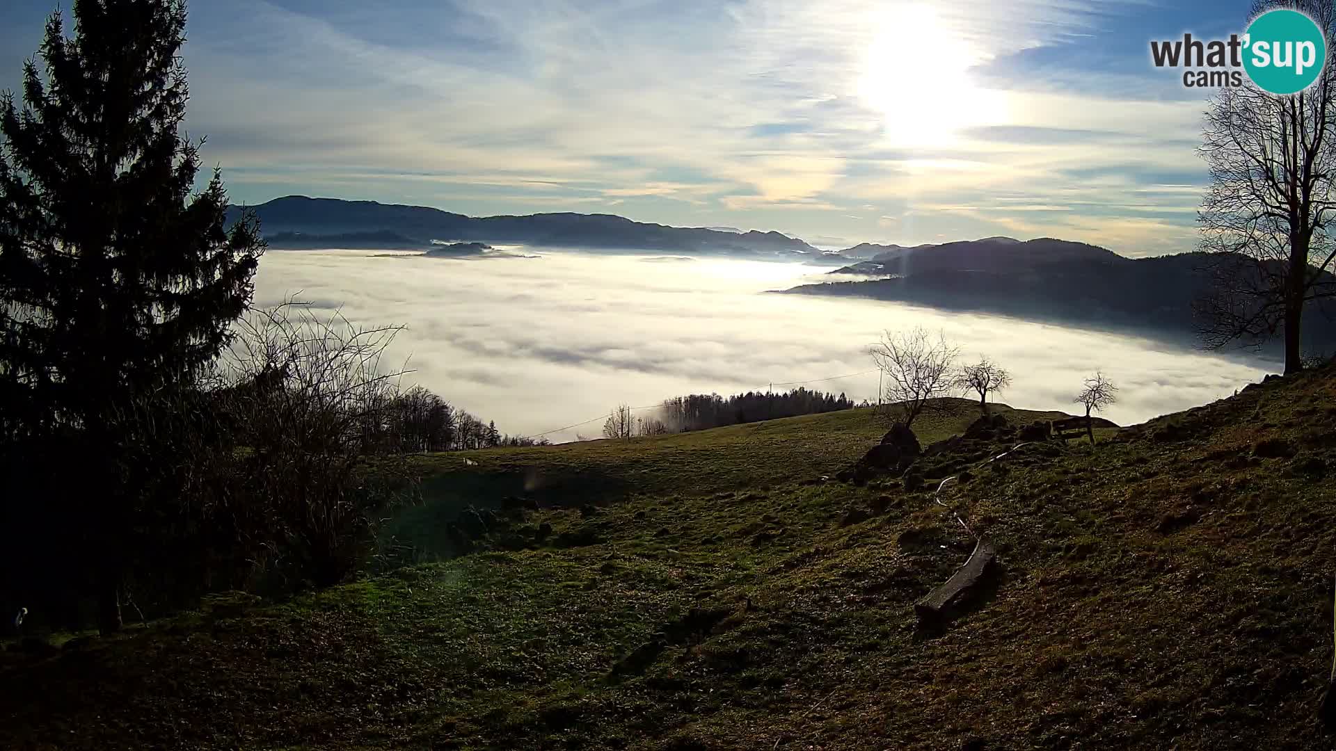 Slajka web kamera | Gorenja Vas | Slovenija