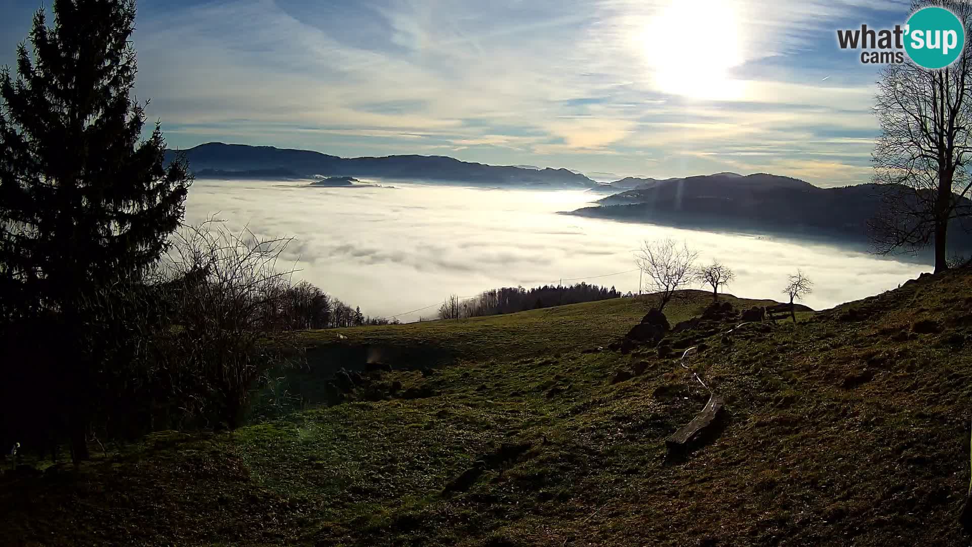 Slajka webam | Gorenja vas | Slovenia