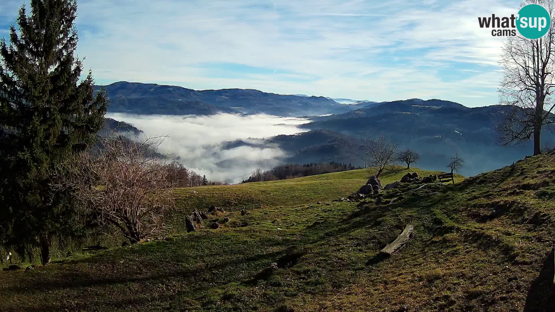 Slajka livecam | Gorenja Vas | Slovénie