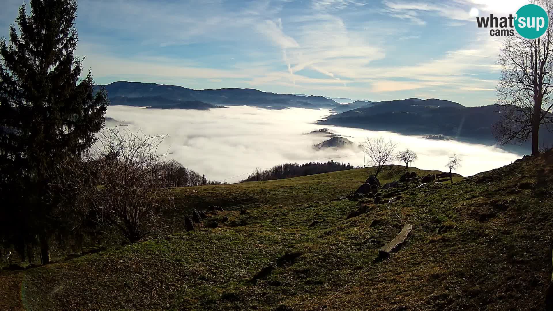 Slajka webcam | Gorenja Vas | Slowenien