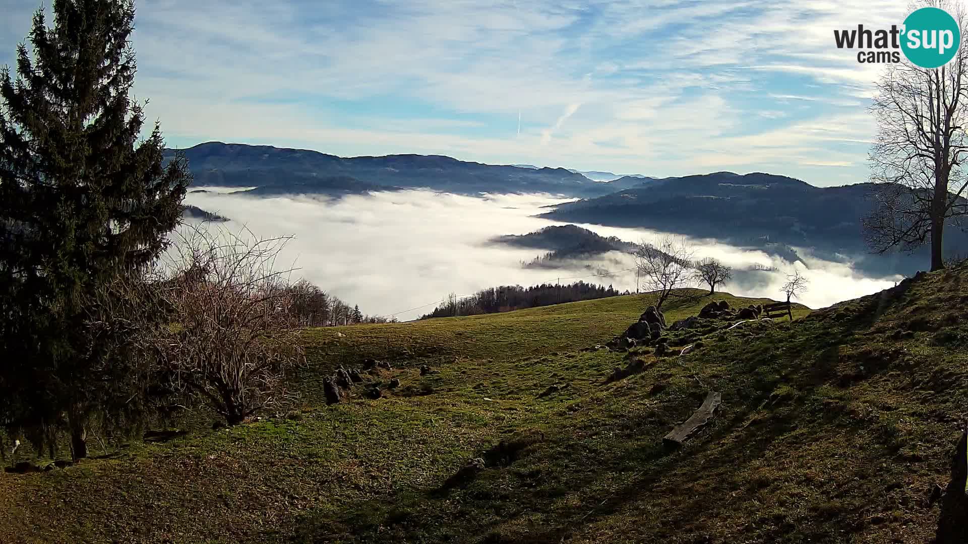 Slajka camera en vivo | Gorenja Vas | Eslovenia