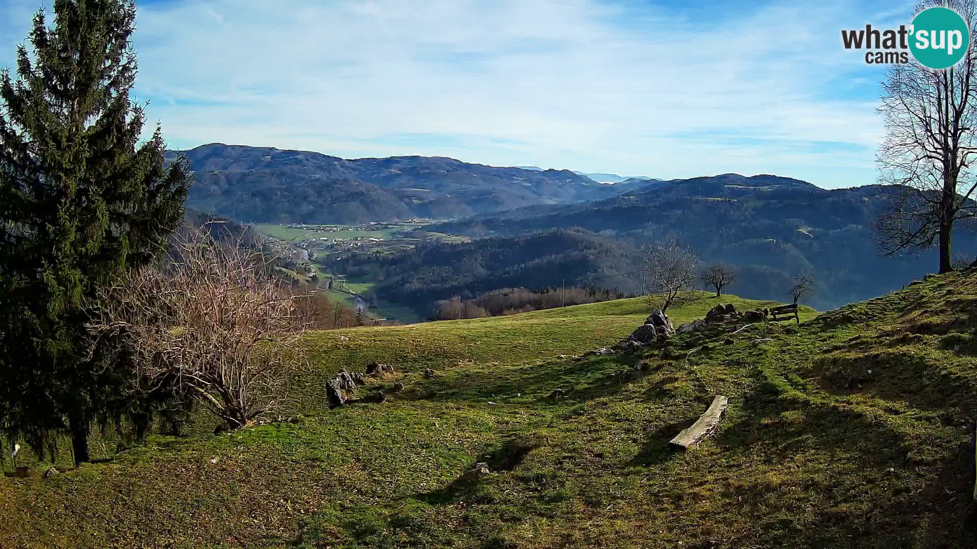 Slajka camera en vivo | Gorenja Vas | Eslovenia