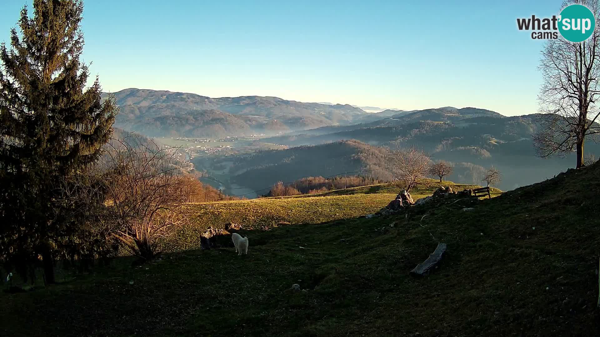 Slajka webam | Gorenja vas | Slovenia