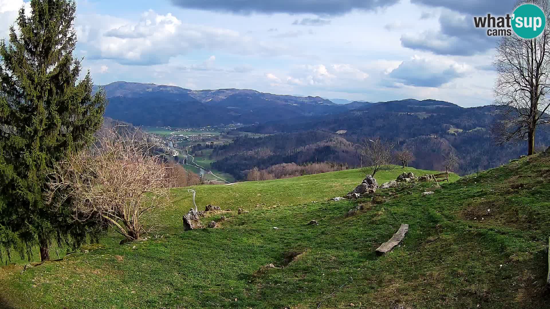 Slajka livecam | Gorenja Vas | Slovénie