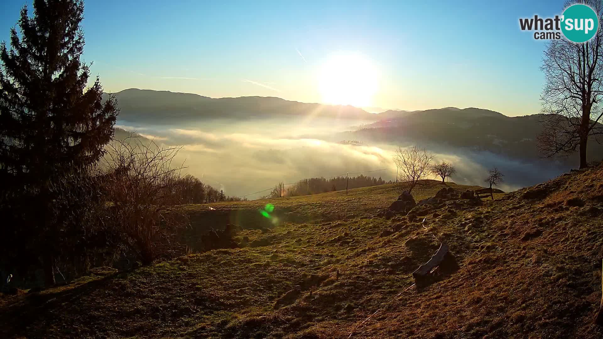 Slajka camera en vivo | Gorenja Vas | Eslovenia