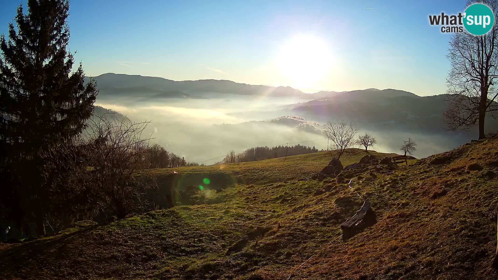Slajka webam | Gorenja vas | Slovenia