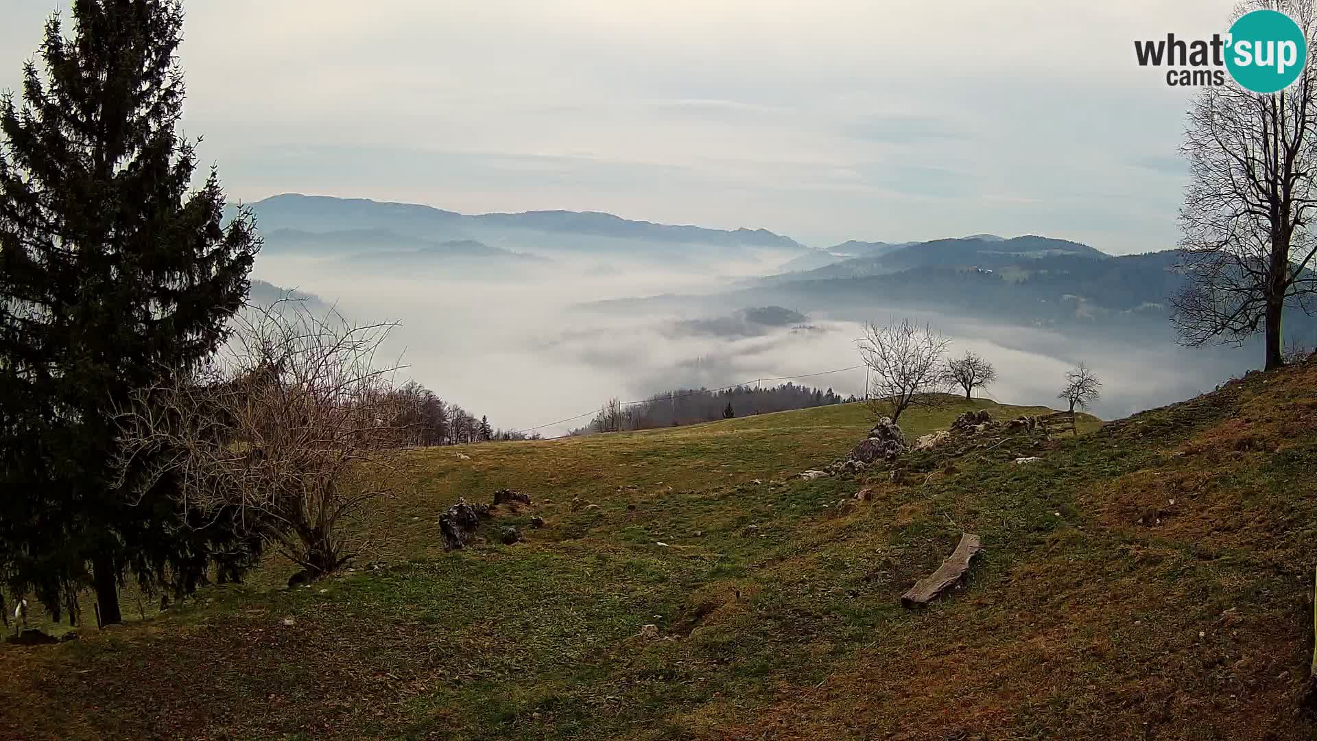 Slajka webam | Gorenja vas | Slovenia