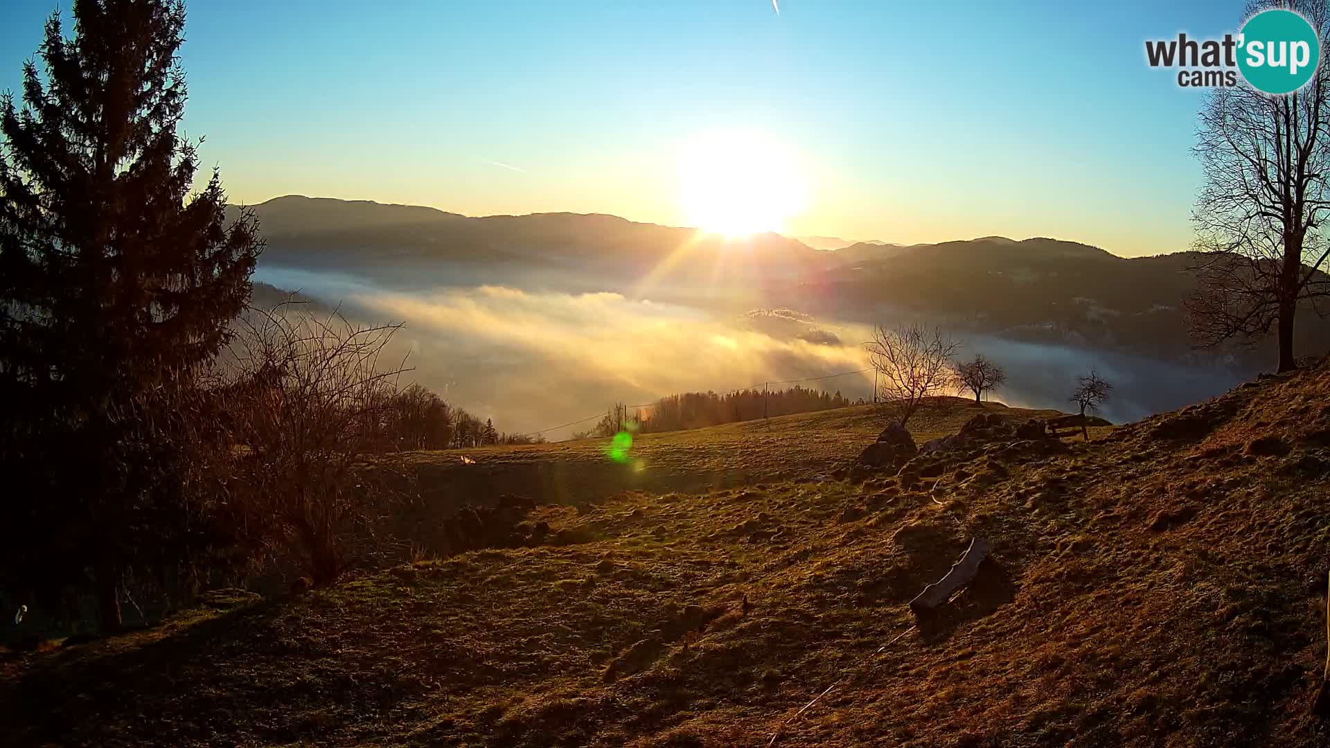 Slajka camera en vivo | Gorenja Vas | Eslovenia