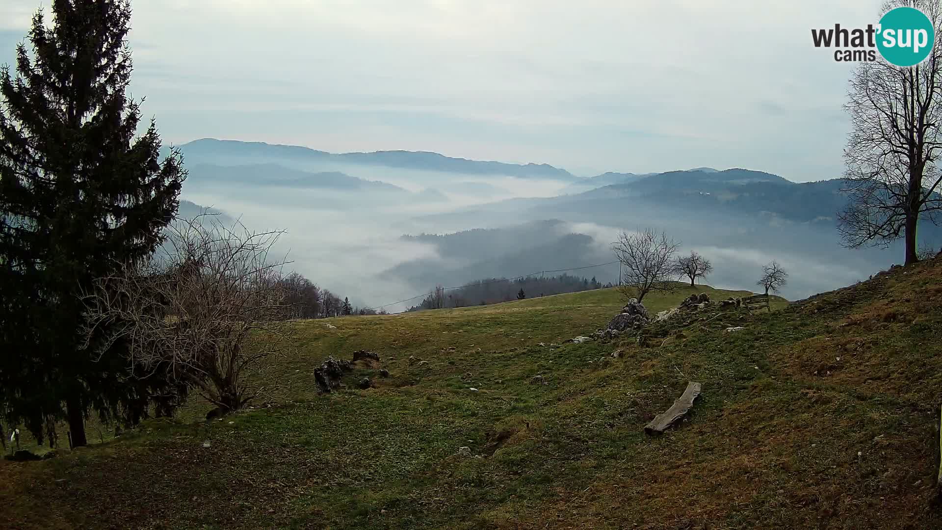 Slajka livecam | Gorenja Vas | Slovénie