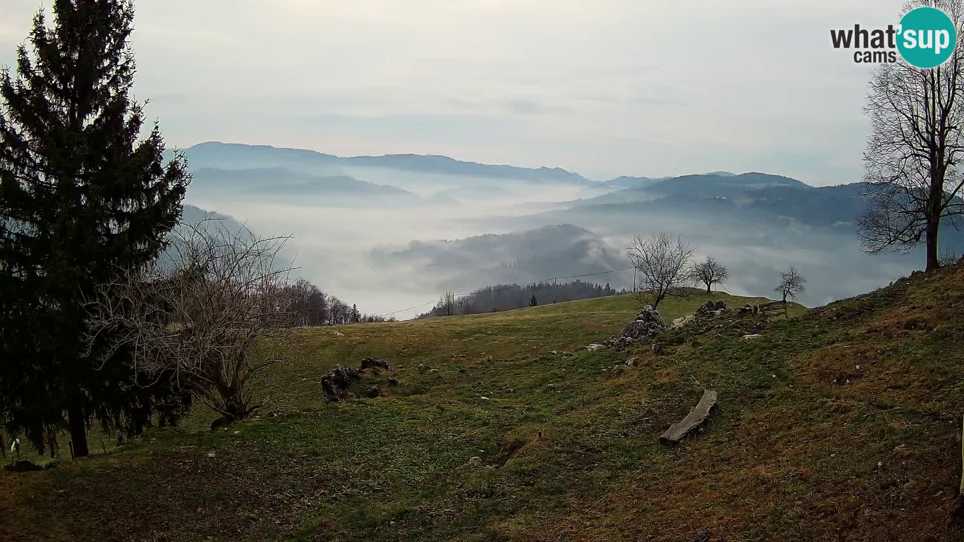 Slajka livecam | Gorenja Vas | Slovénie