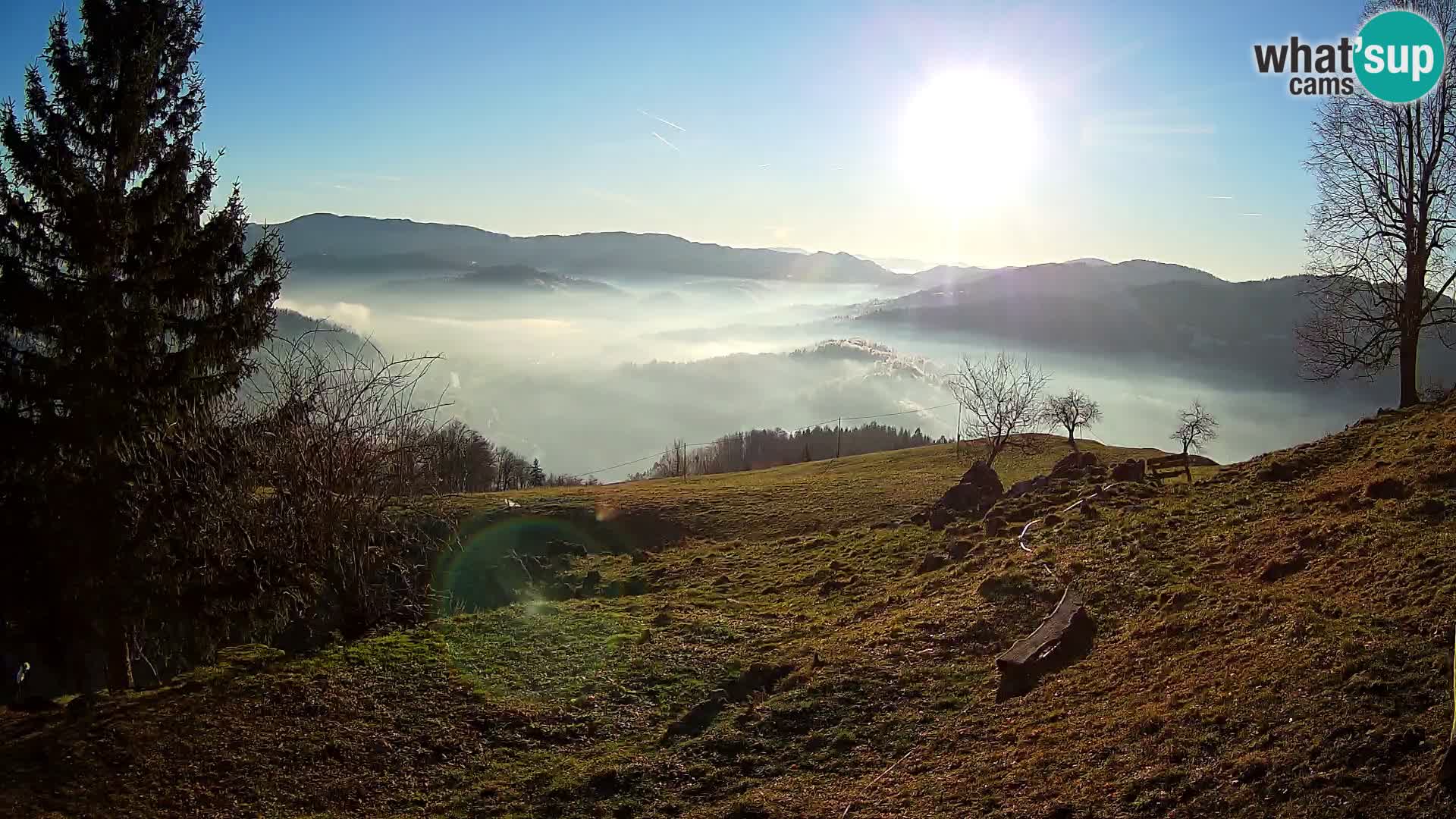 Slajka livecam | Gorenja Vas | Slovénie