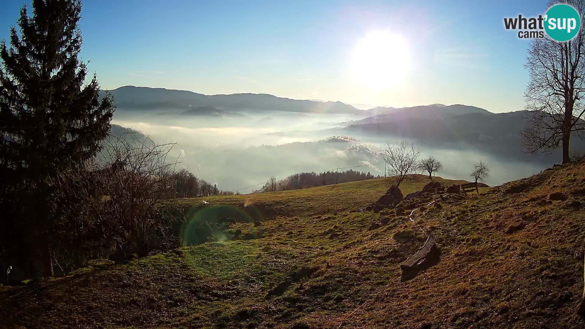 Slajka camera en vivo | Gorenja Vas | Eslovenia