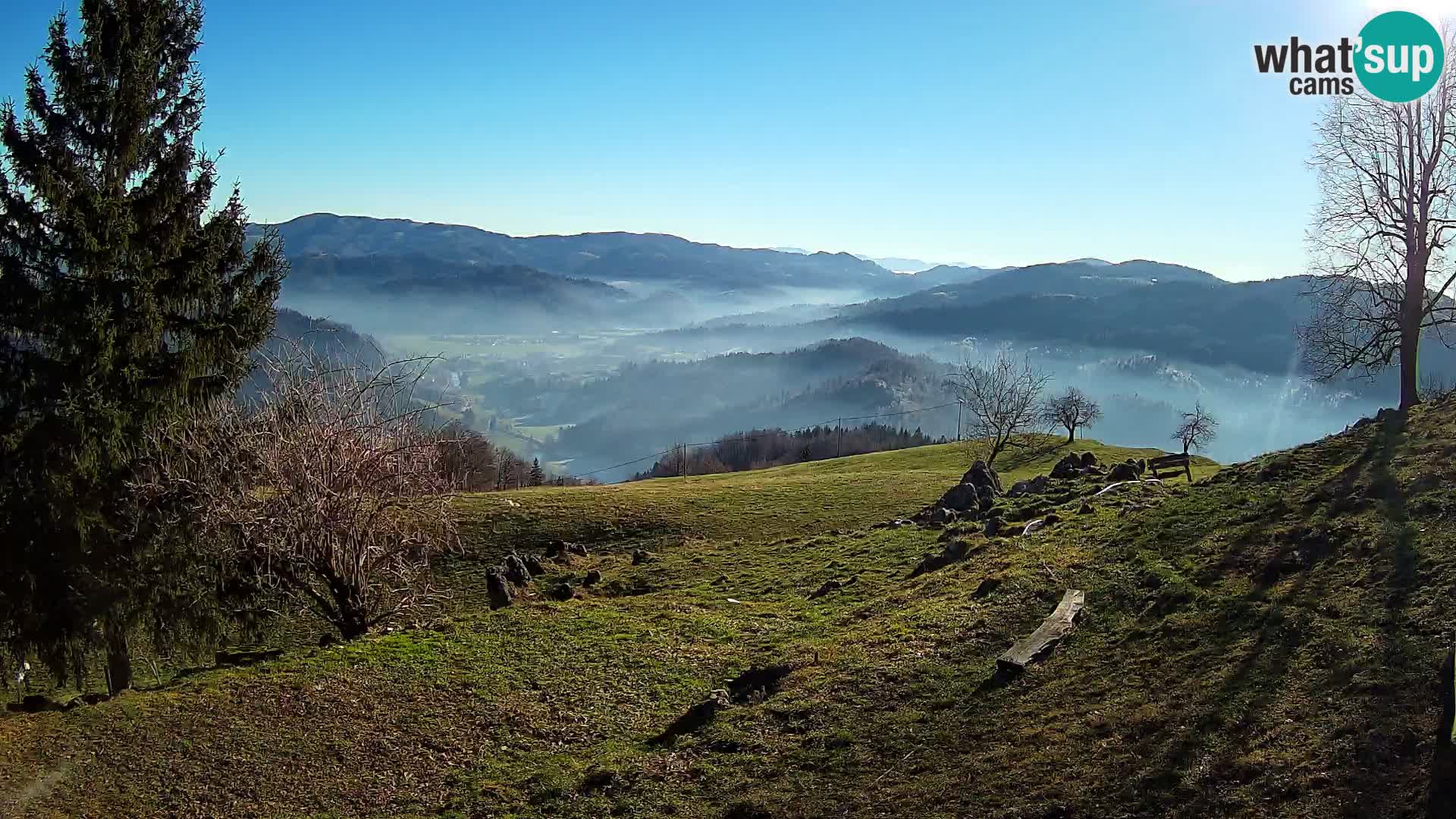 Slajka livecam | Gorenja Vas | Slovénie