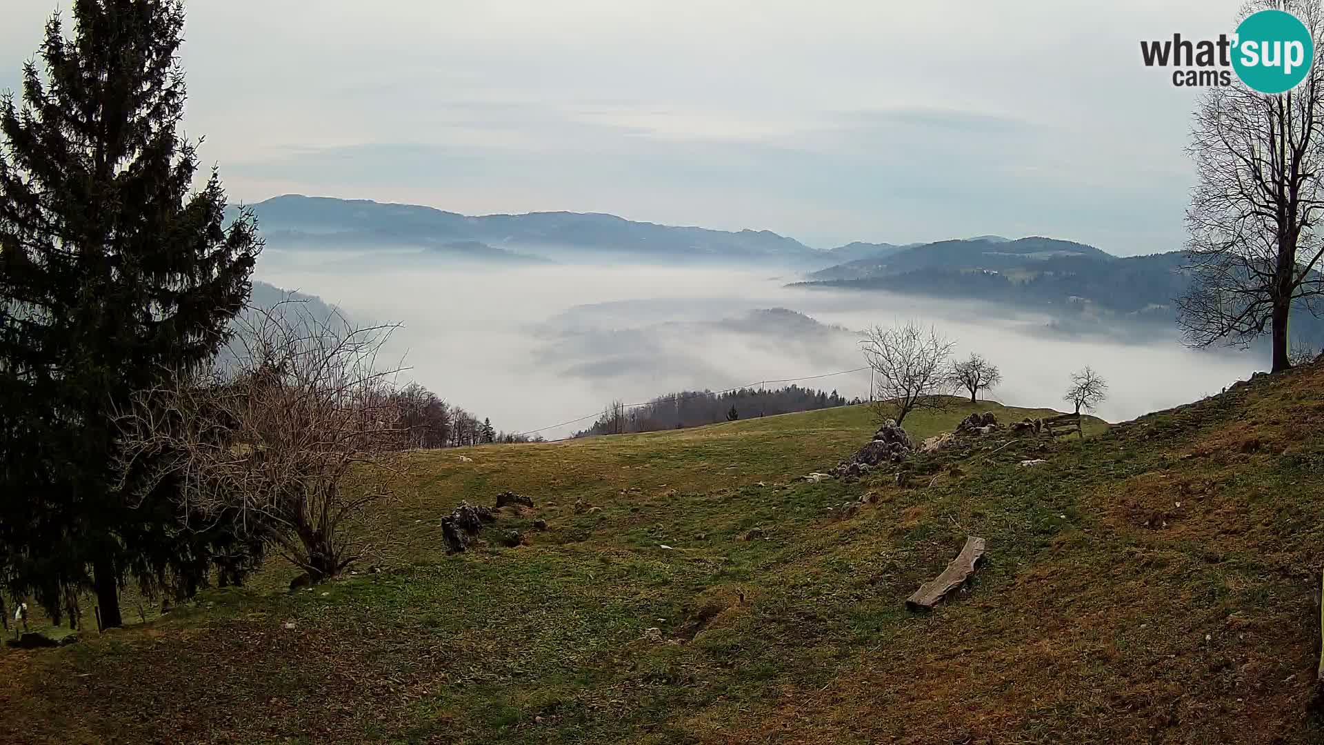 Slajka webam | Gorenja vas | Slovenia