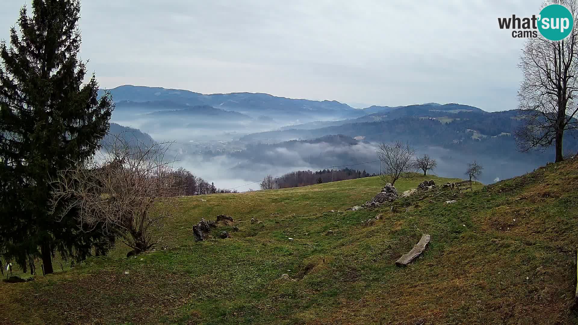 Slajka webam | Gorenja vas | Slovenia