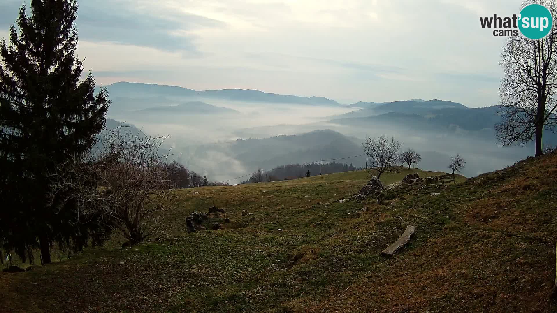 Slajka webam | Gorenja vas | Slovenia