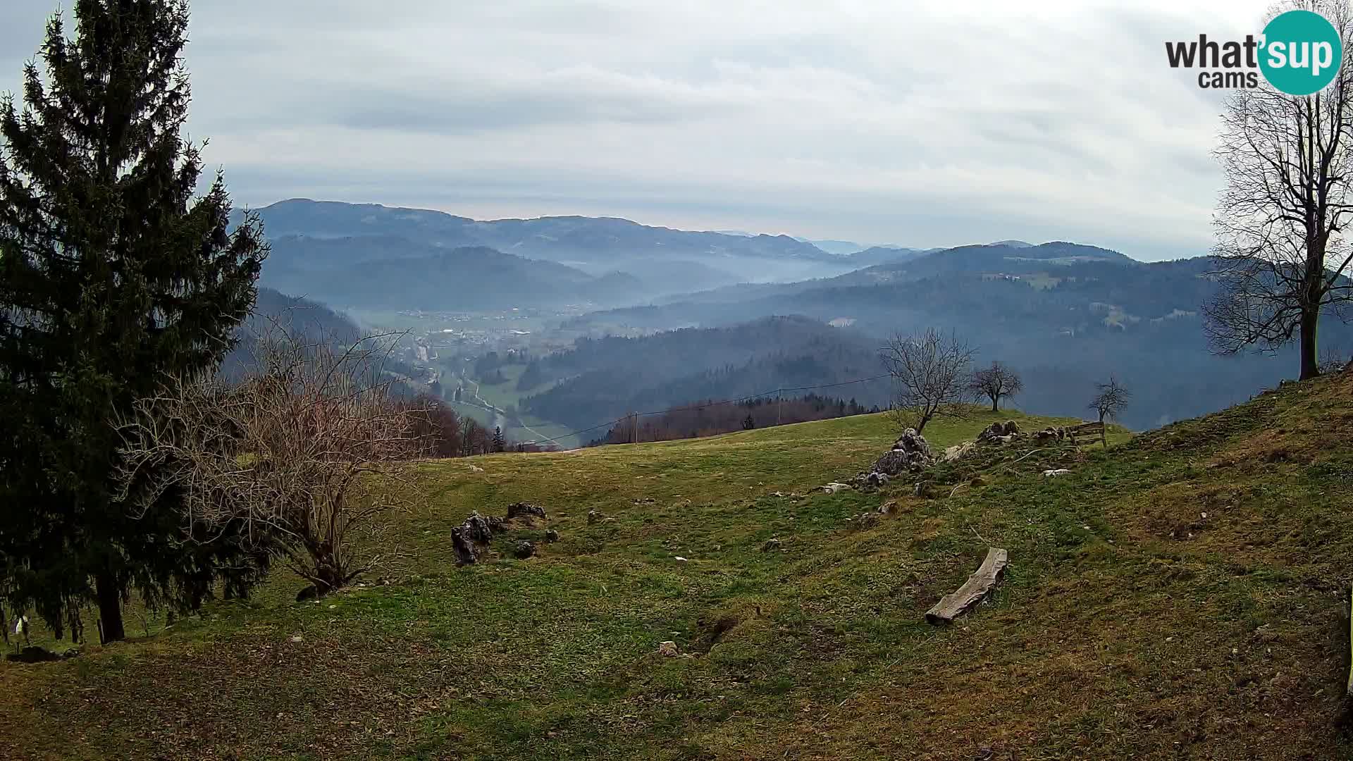 Slajka camera en vivo | Gorenja Vas | Eslovenia