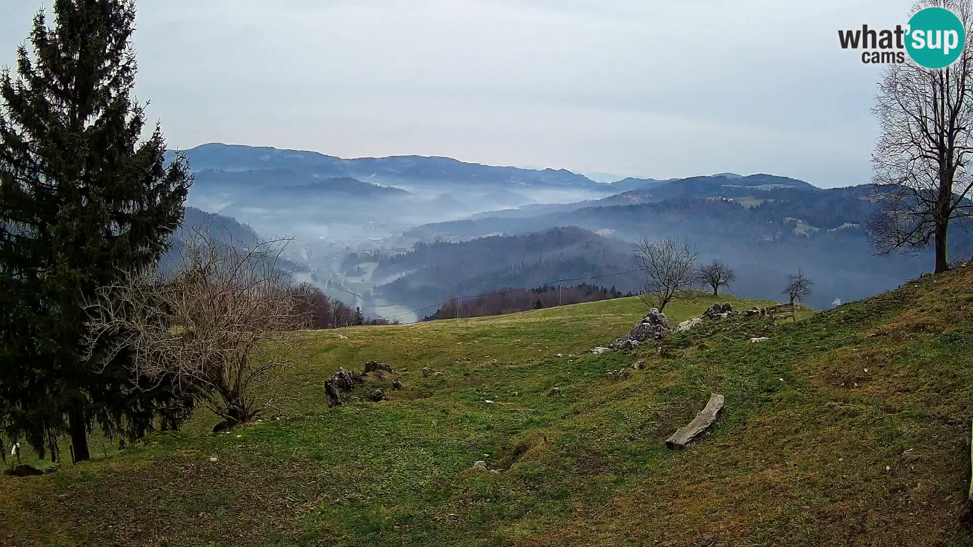 Slajka camera en vivo | Gorenja Vas | Eslovenia