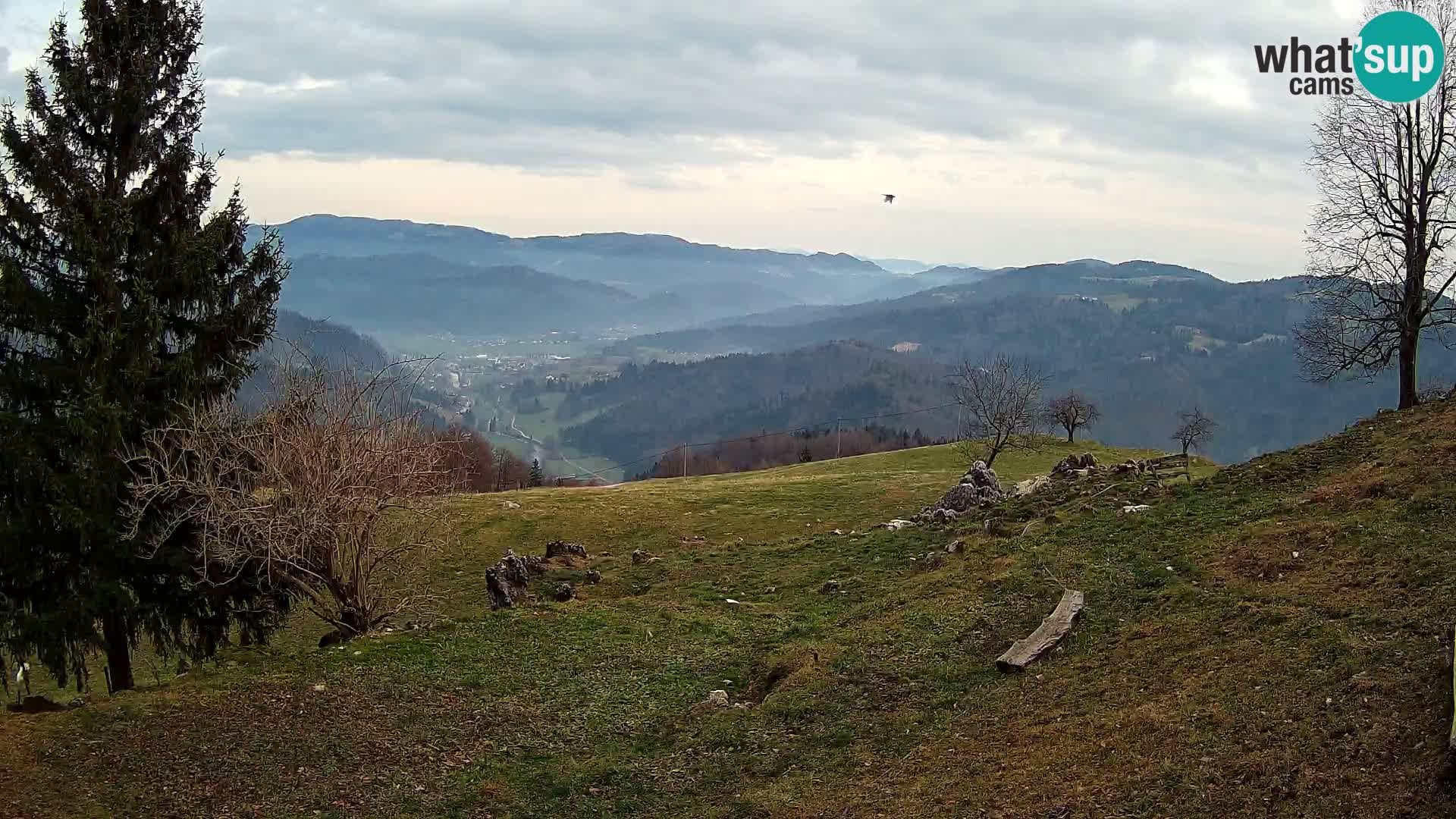 Slajka webam | Gorenja vas | Slovenia