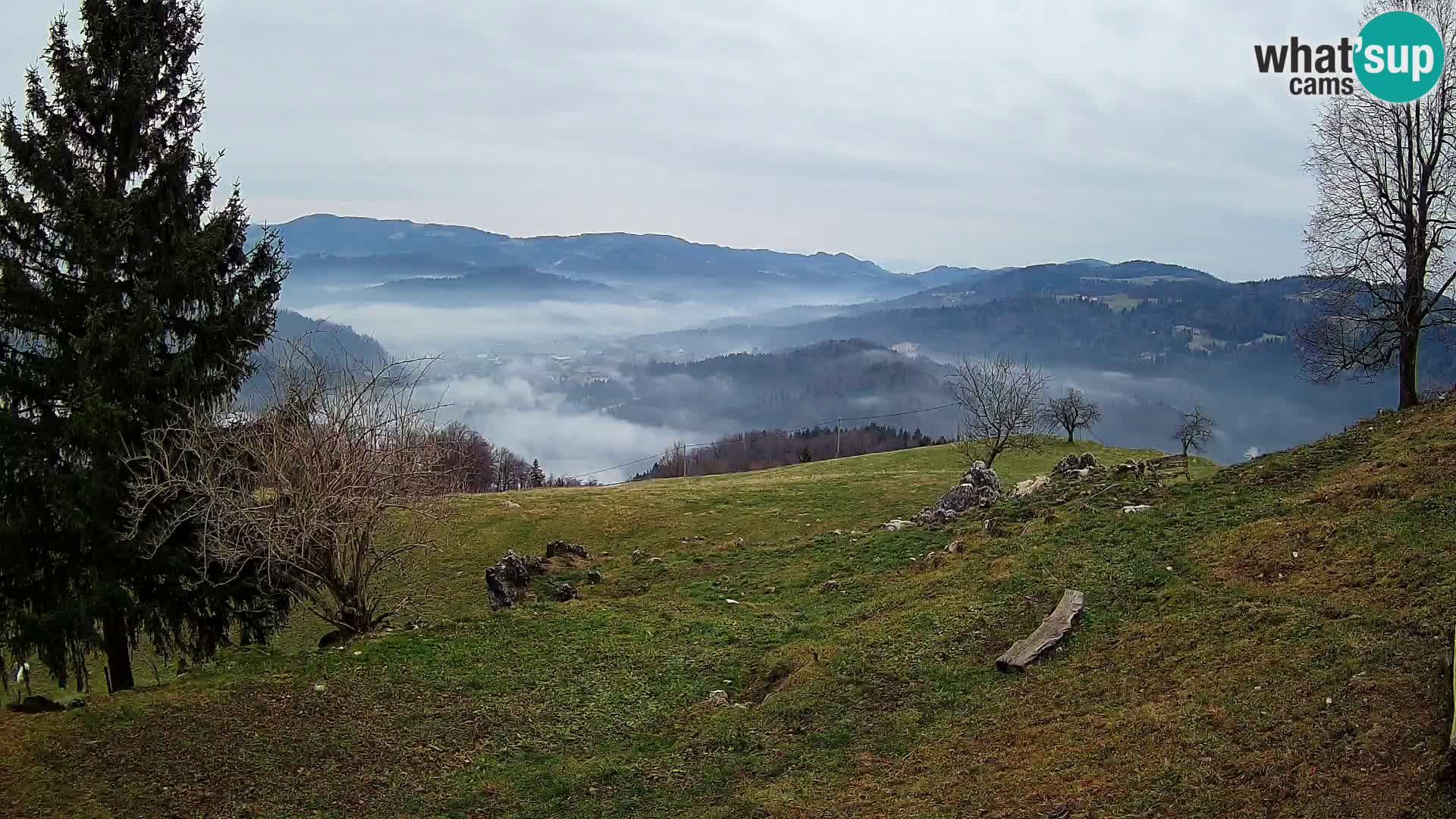 Slajka camera en vivo | Gorenja Vas | Eslovenia