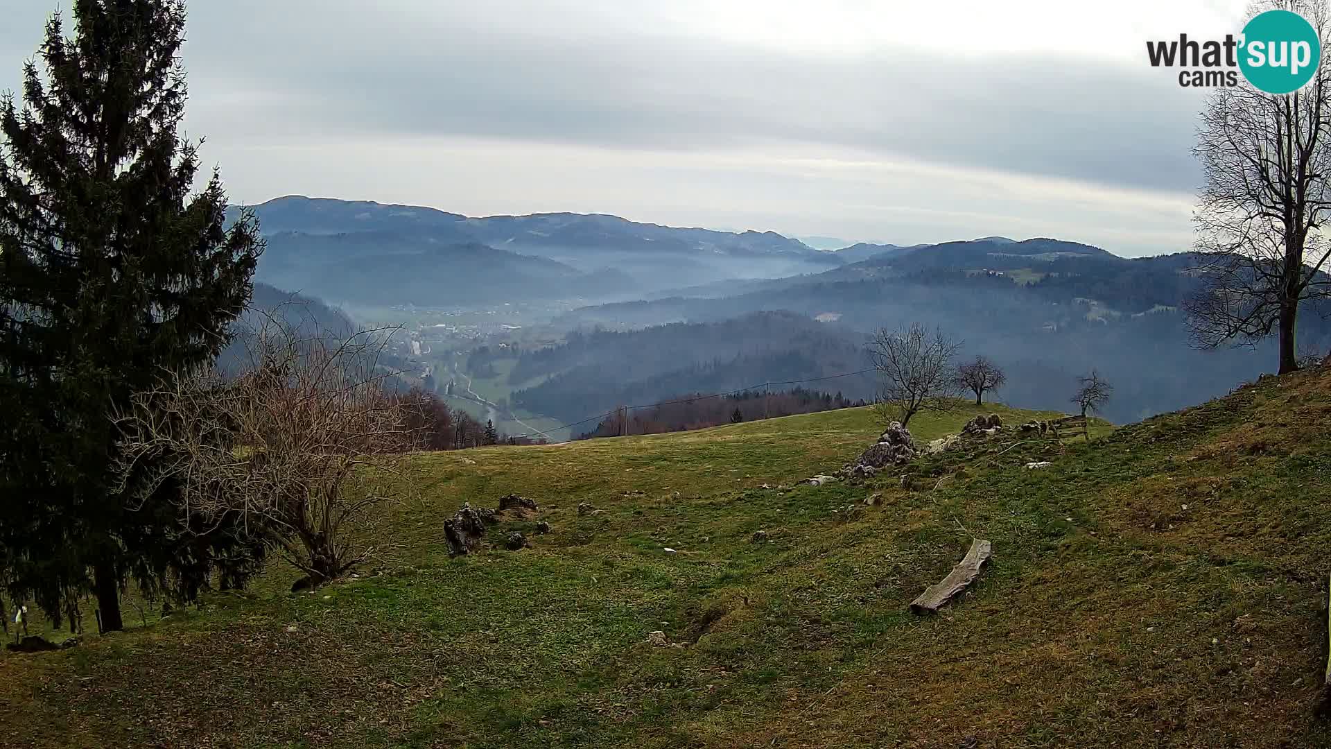 Slajka webam | Gorenja vas | Slovenia