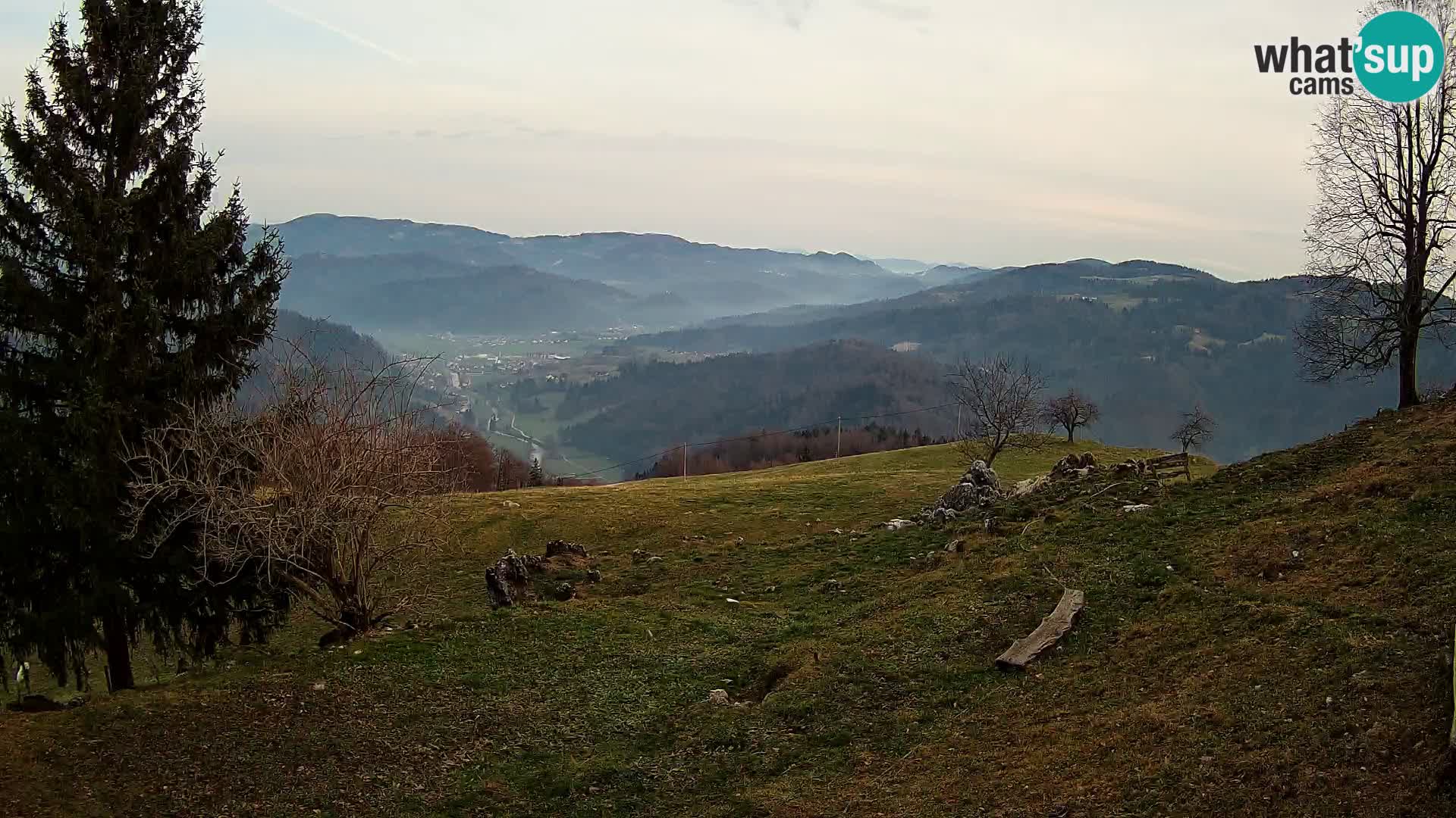 Slajka livecam | Gorenja Vas | Slovénie