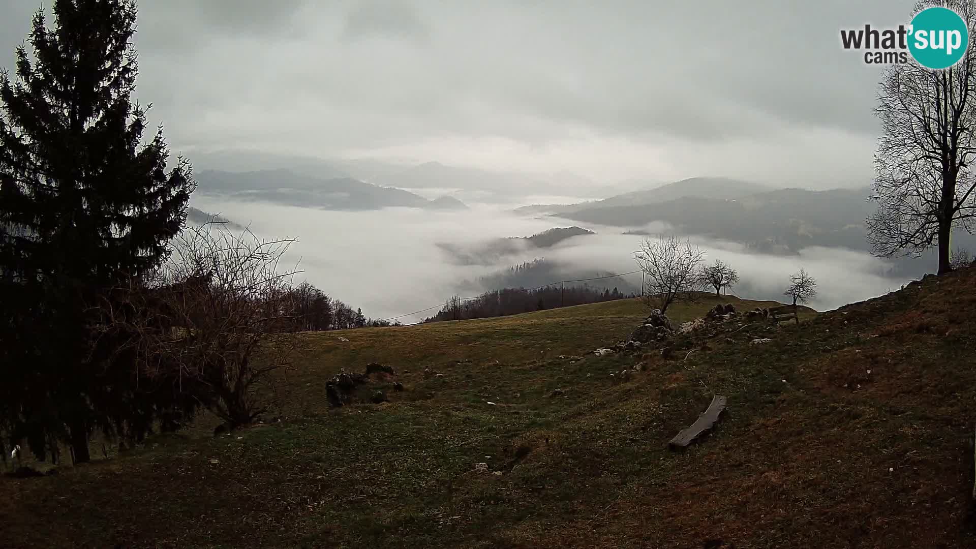 Slajka camera en vivo | Gorenja Vas | Eslovenia