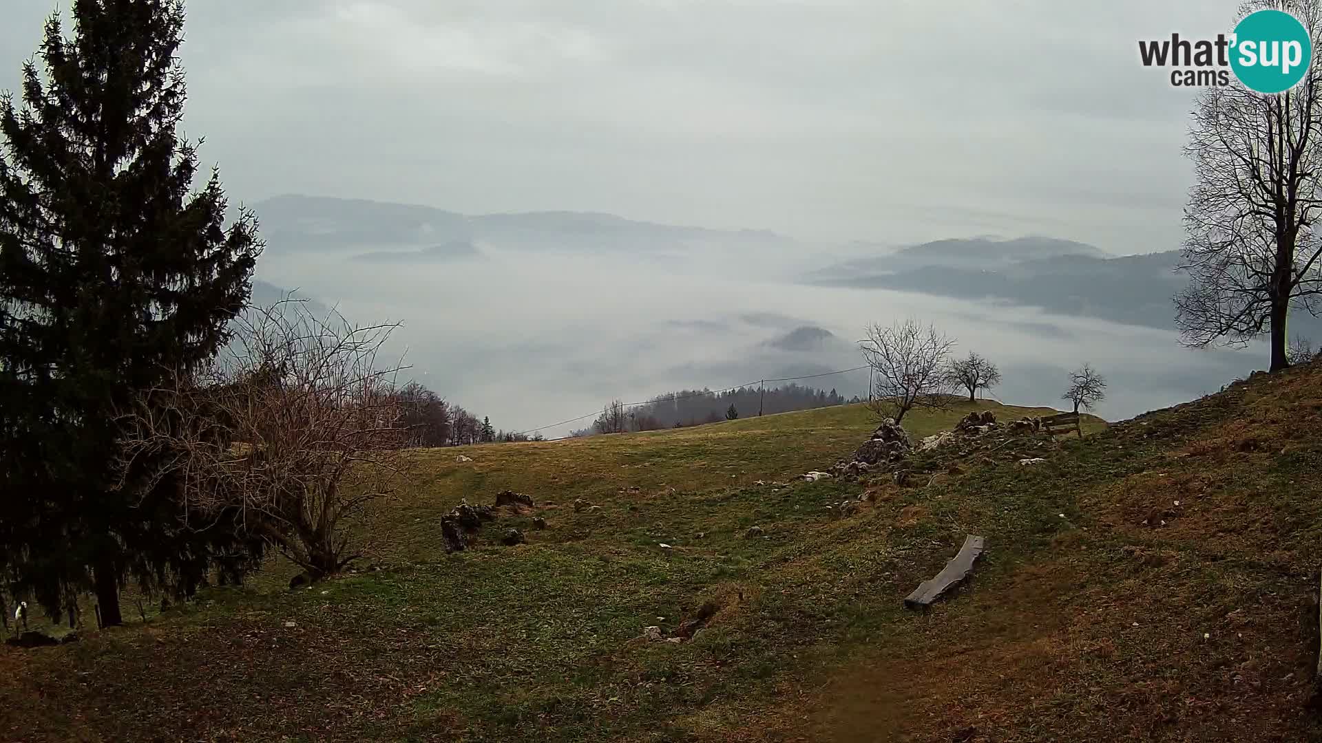 Slajka webam | Gorenja vas | Slovenia