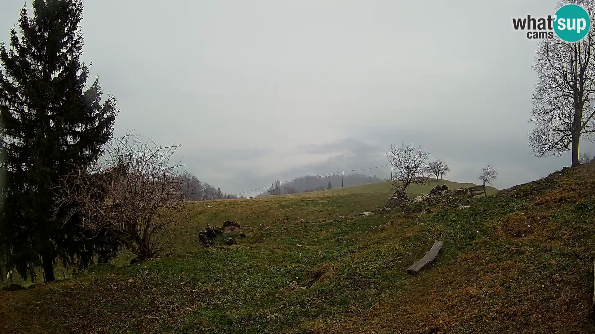 Webcam Slajka | Gorenja vas | Slovenia
