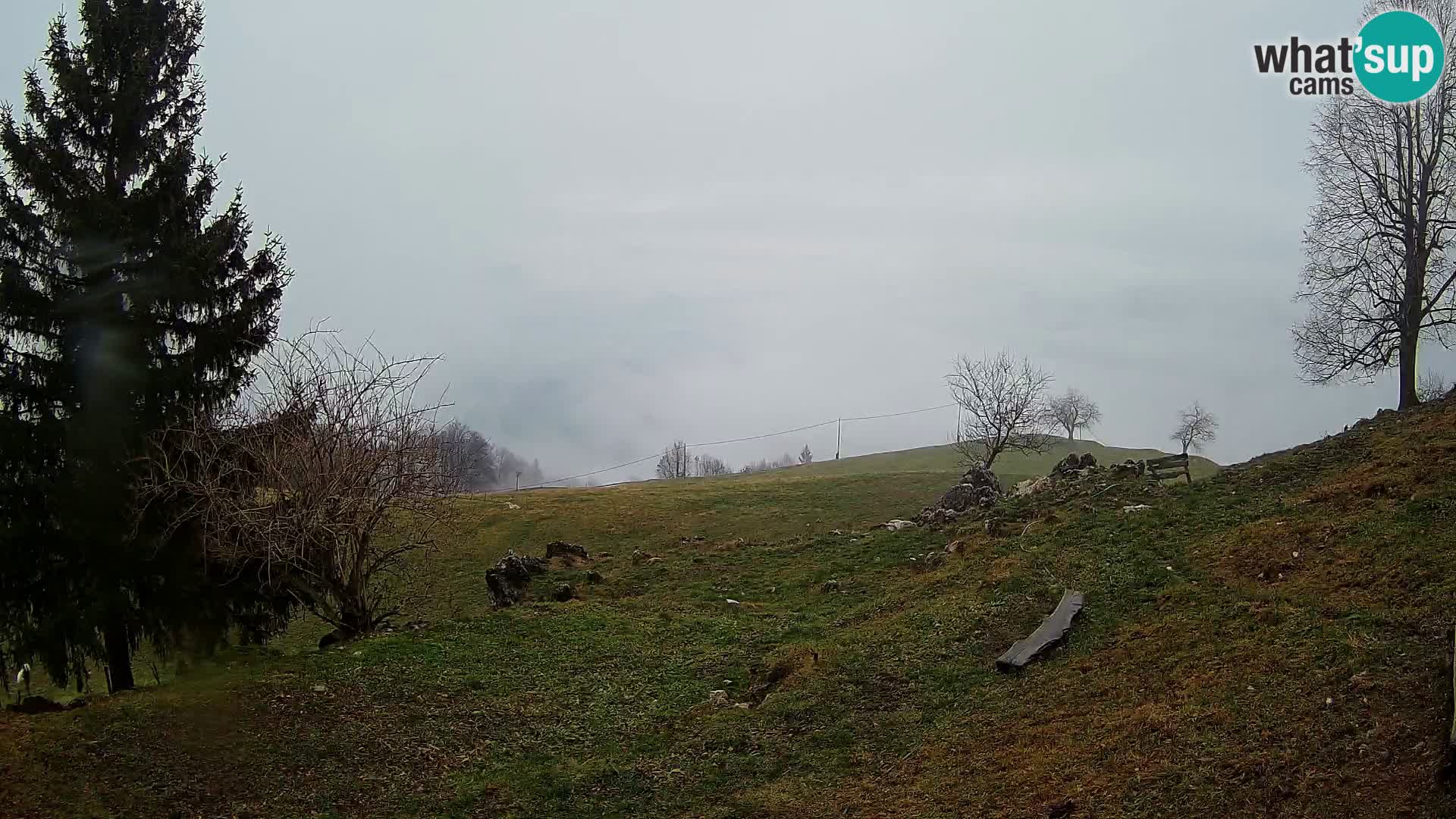 Slajka webam | Gorenja vas | Slovenia