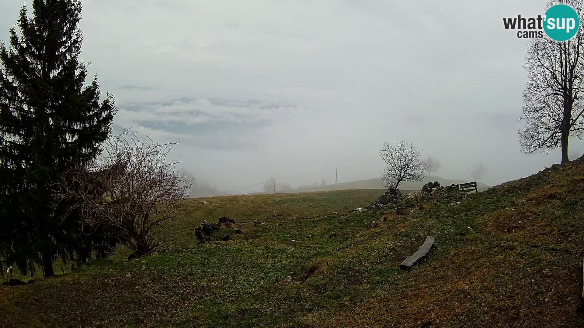 Slajka camera en vivo | Gorenja Vas | Eslovenia