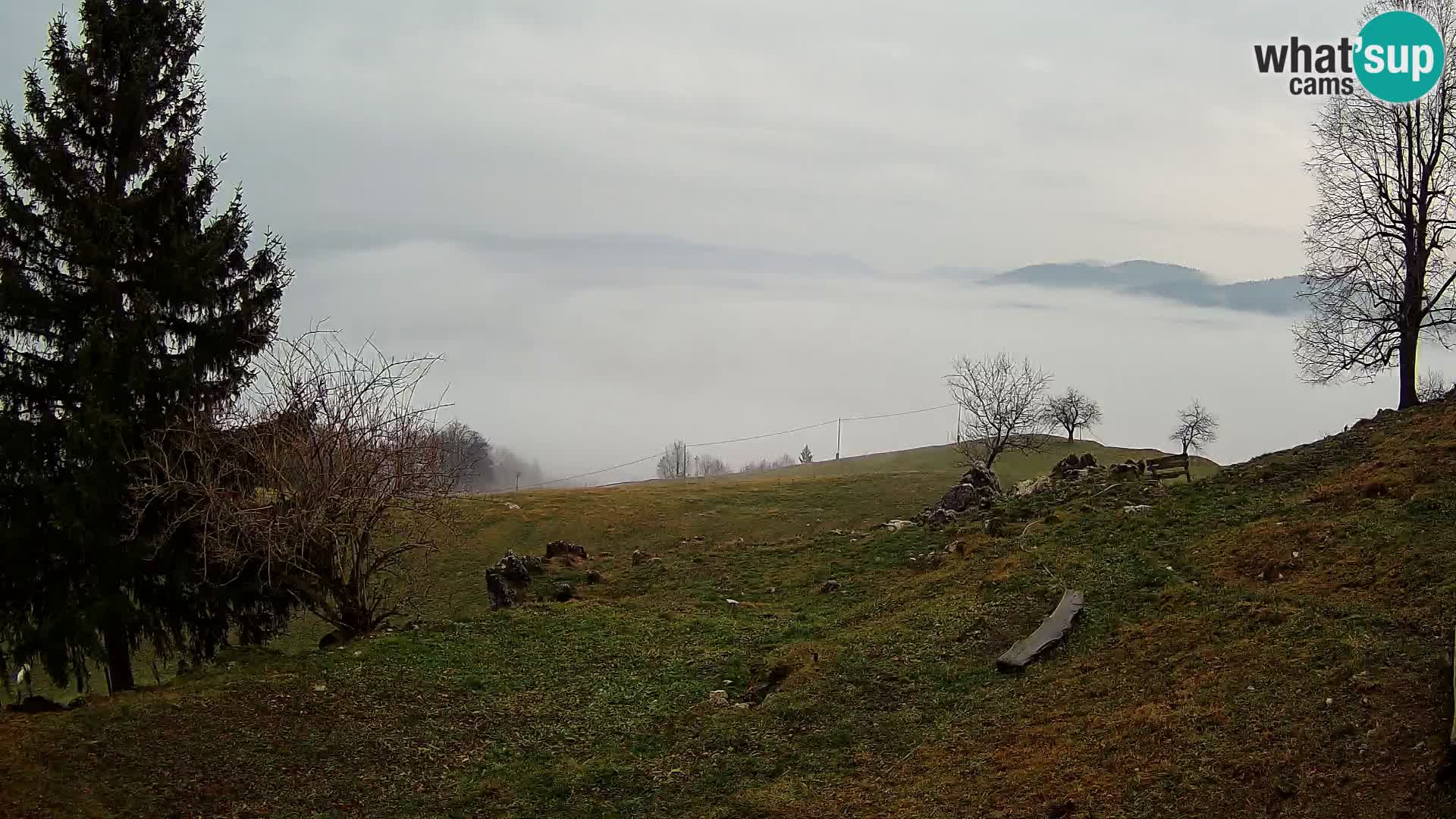 Slajka web kamera | Gorenja Vas | Slovenija